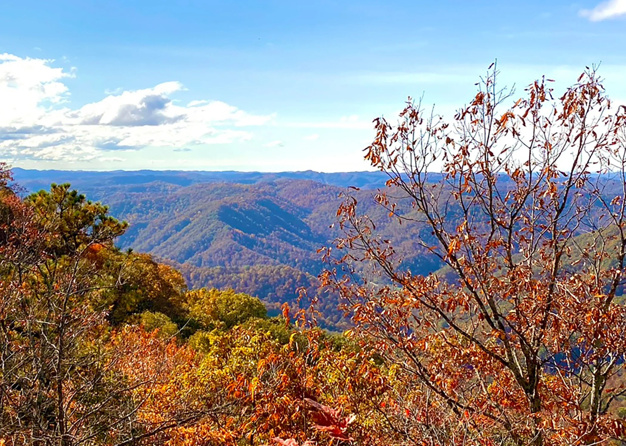 400 36118 - Appalacian Fall.jpg
