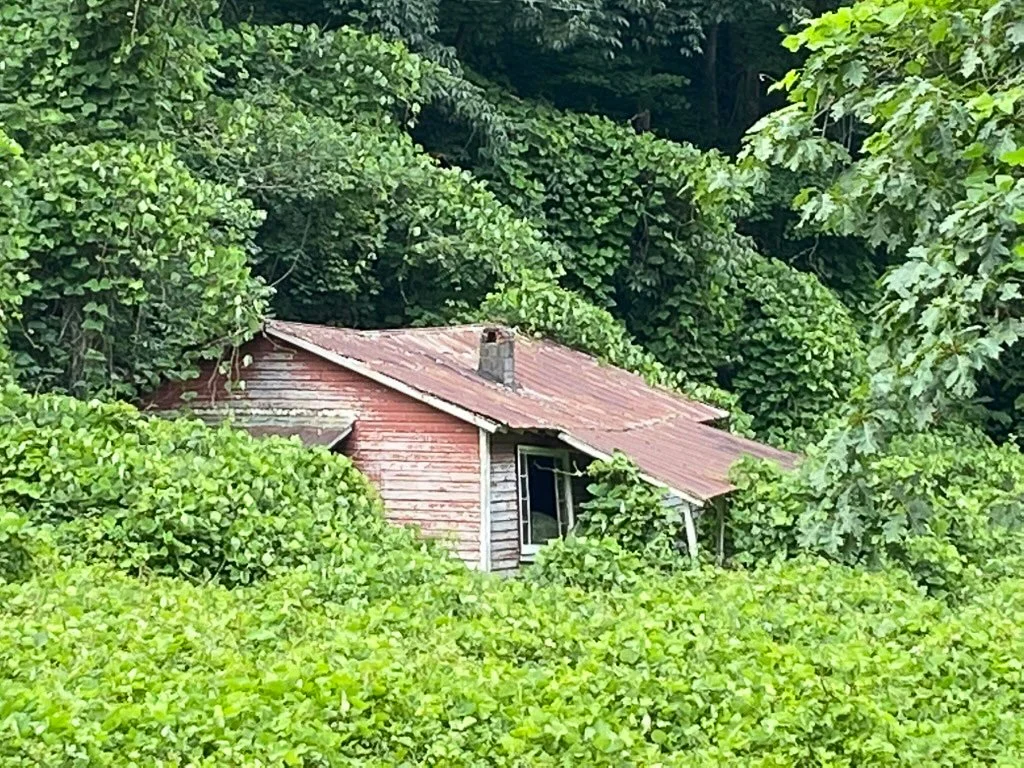 400 57909 - Ruined House.jpg