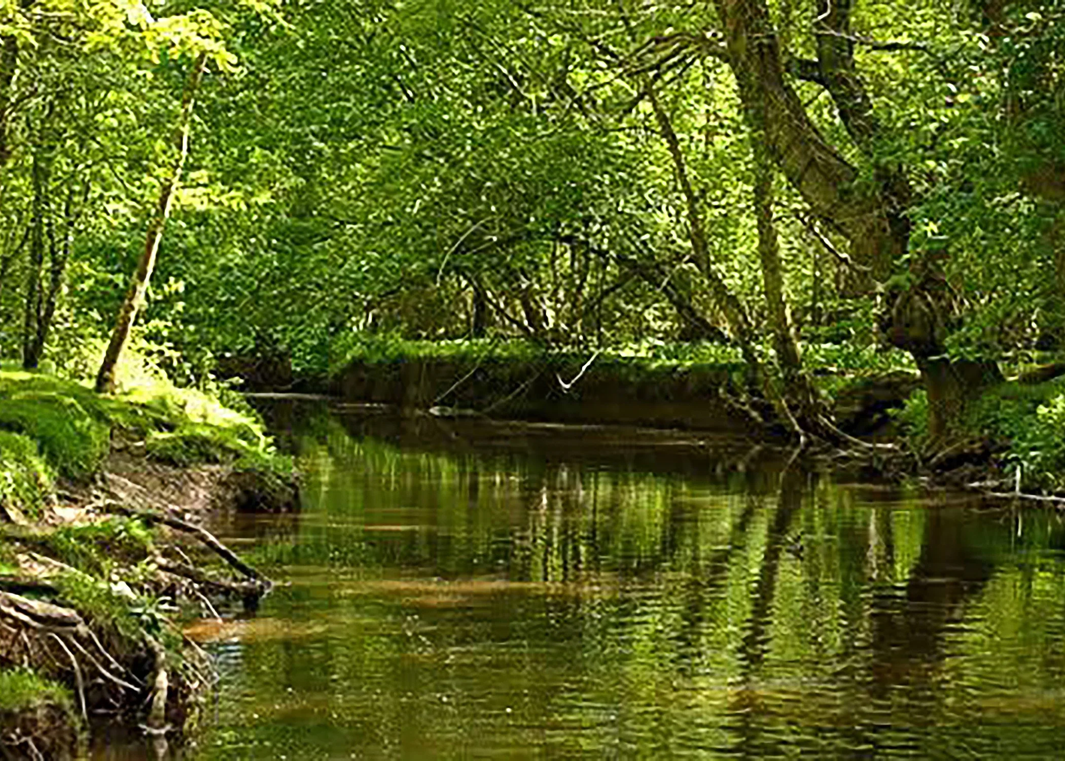 200 4032- Spring River.jpg