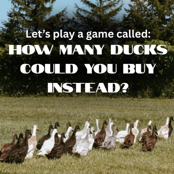 Fun Poultry Campaign