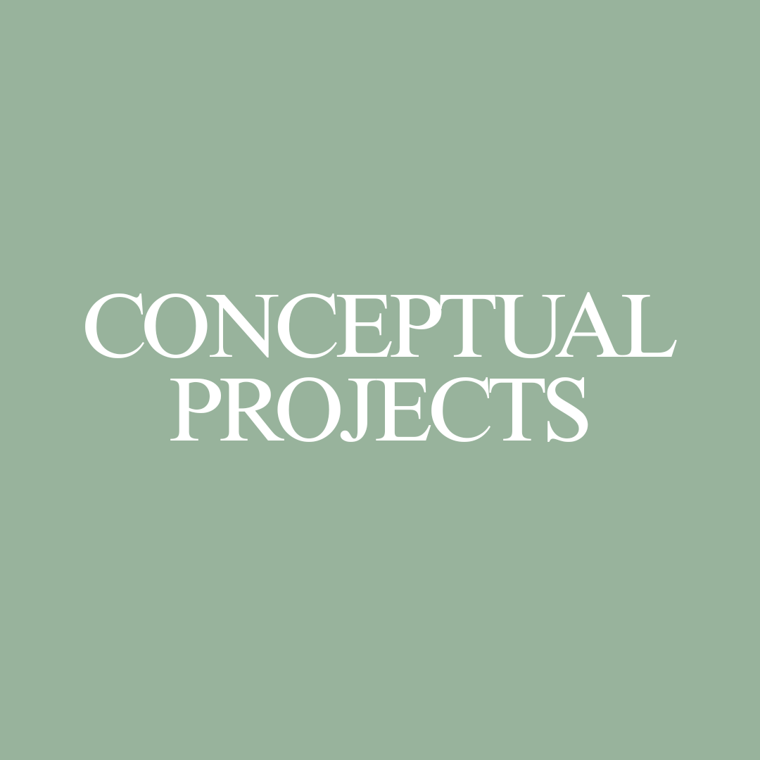 Conceptual Projects