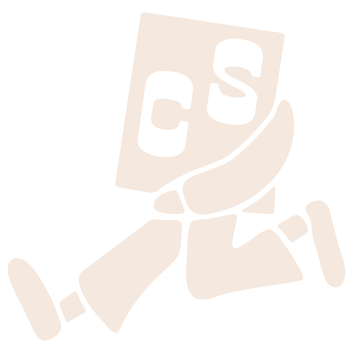 Canvas Stores
