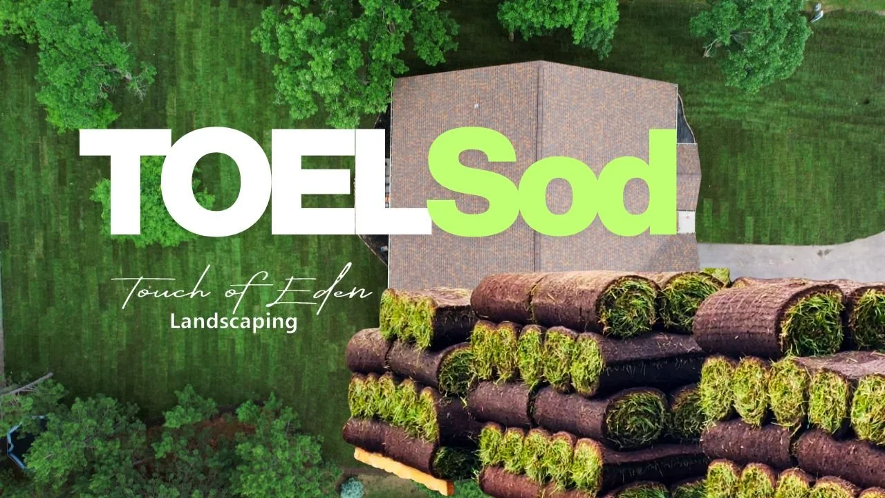 SODacious Lawn
