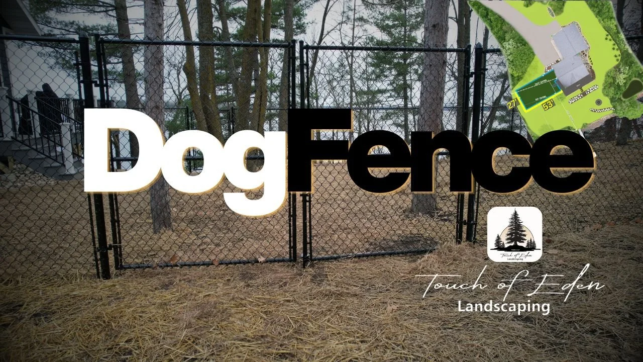 Dog Fence Install