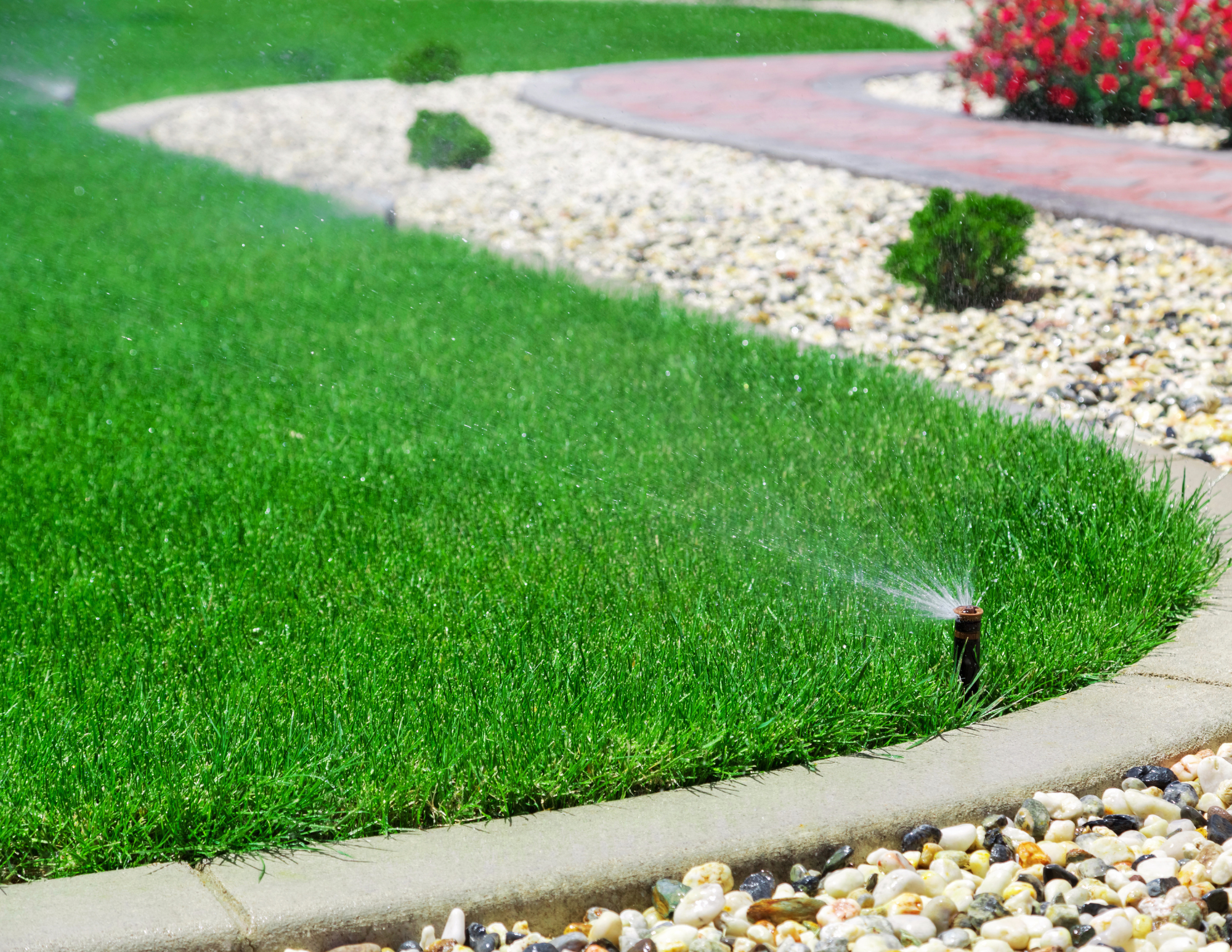 A lawn sprinkler watering a neatly maintained grassy area beside a sidewalk and a decorative gravel bed with small shrubs and colorful rocks.