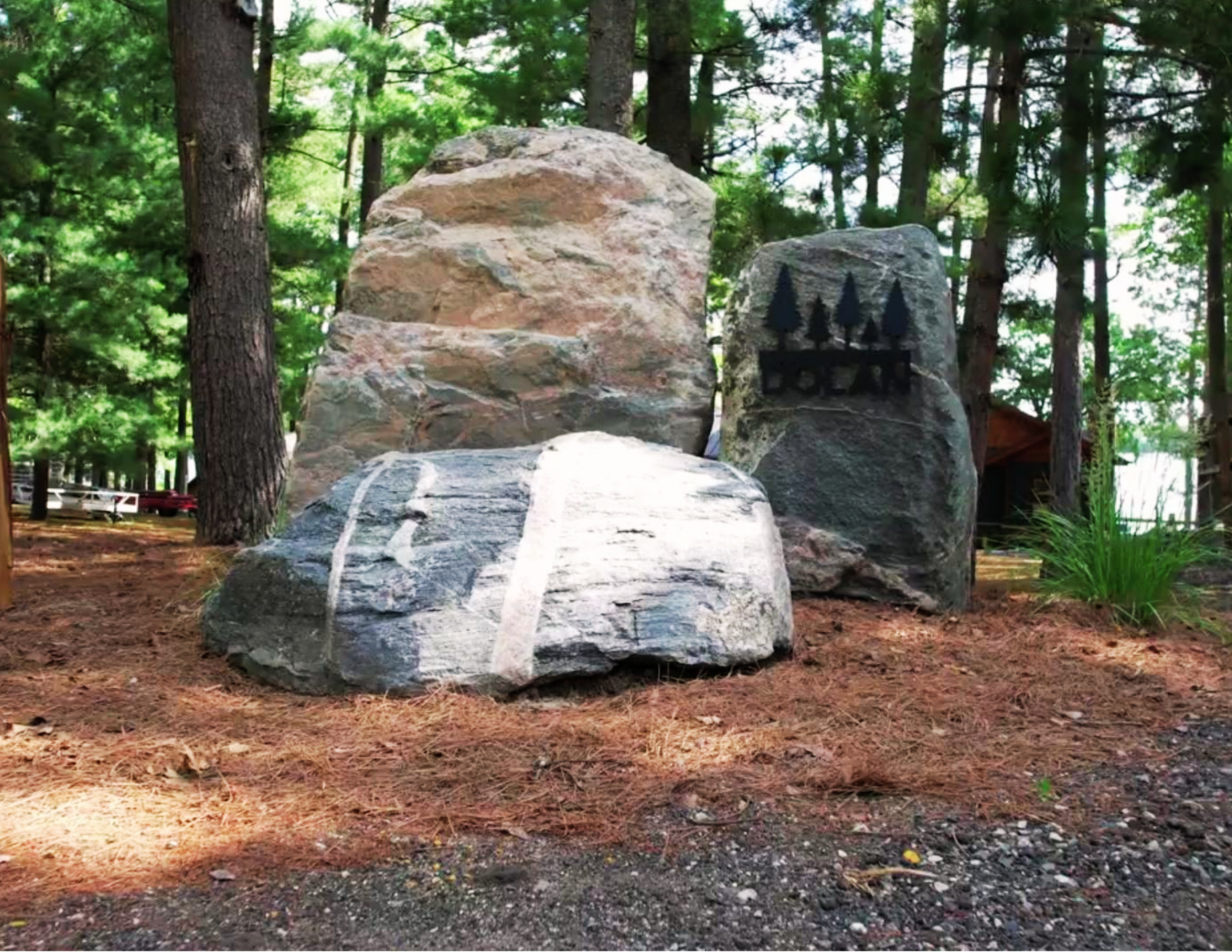 Large rocks with engraved trees, set in a wooded area with tall trees and green foliage in the background.