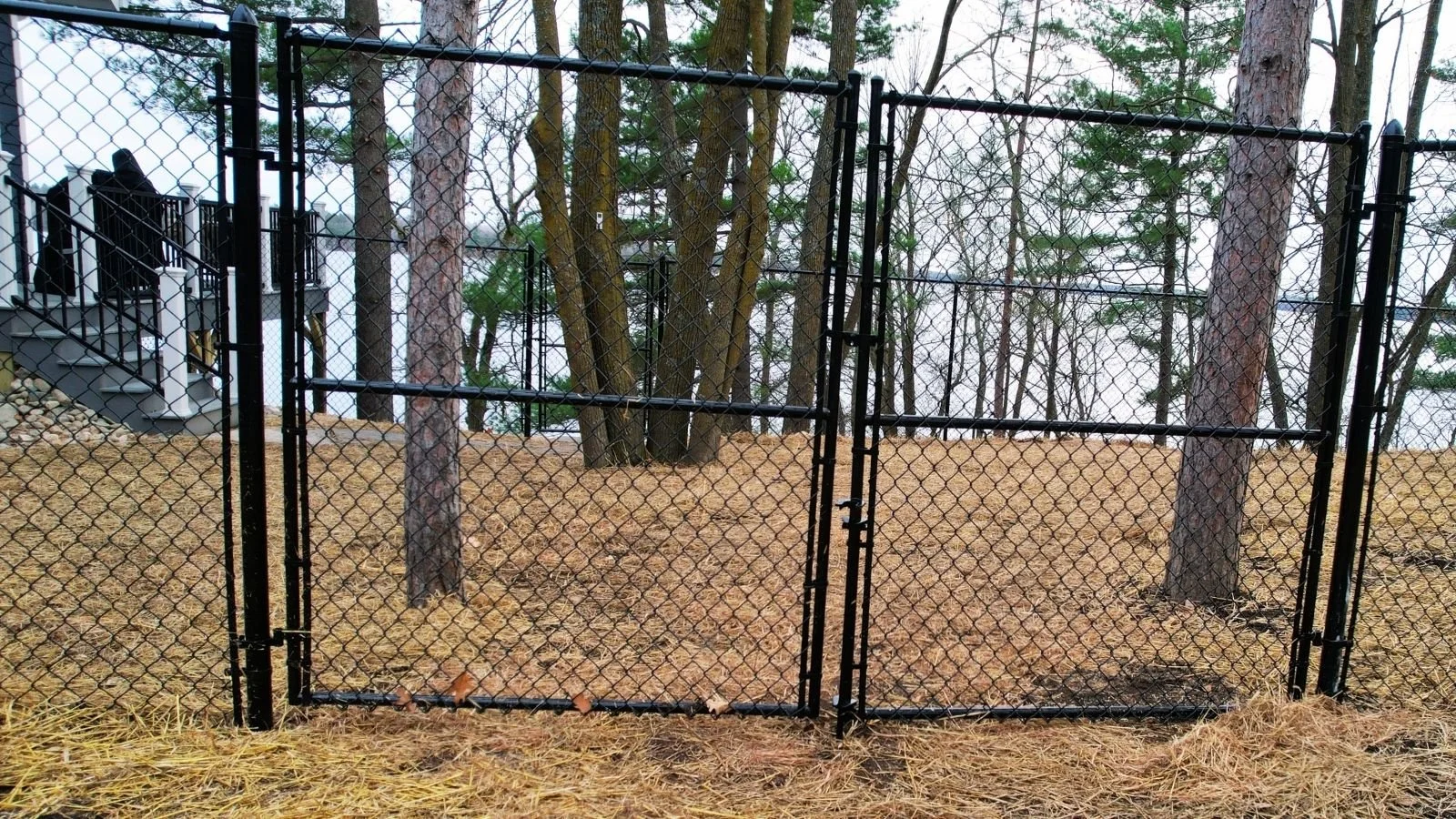 Dog Fence Install