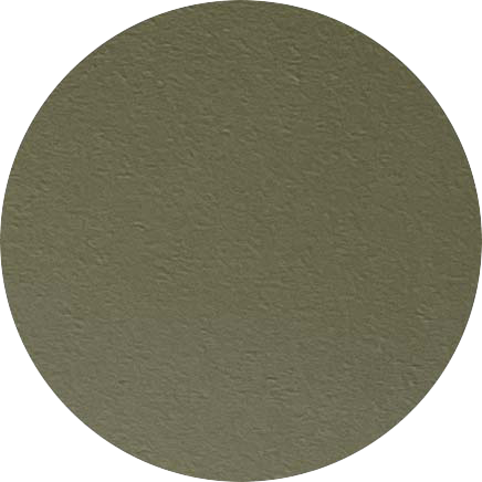A close-up of a textured, round, greenish-brown surface.