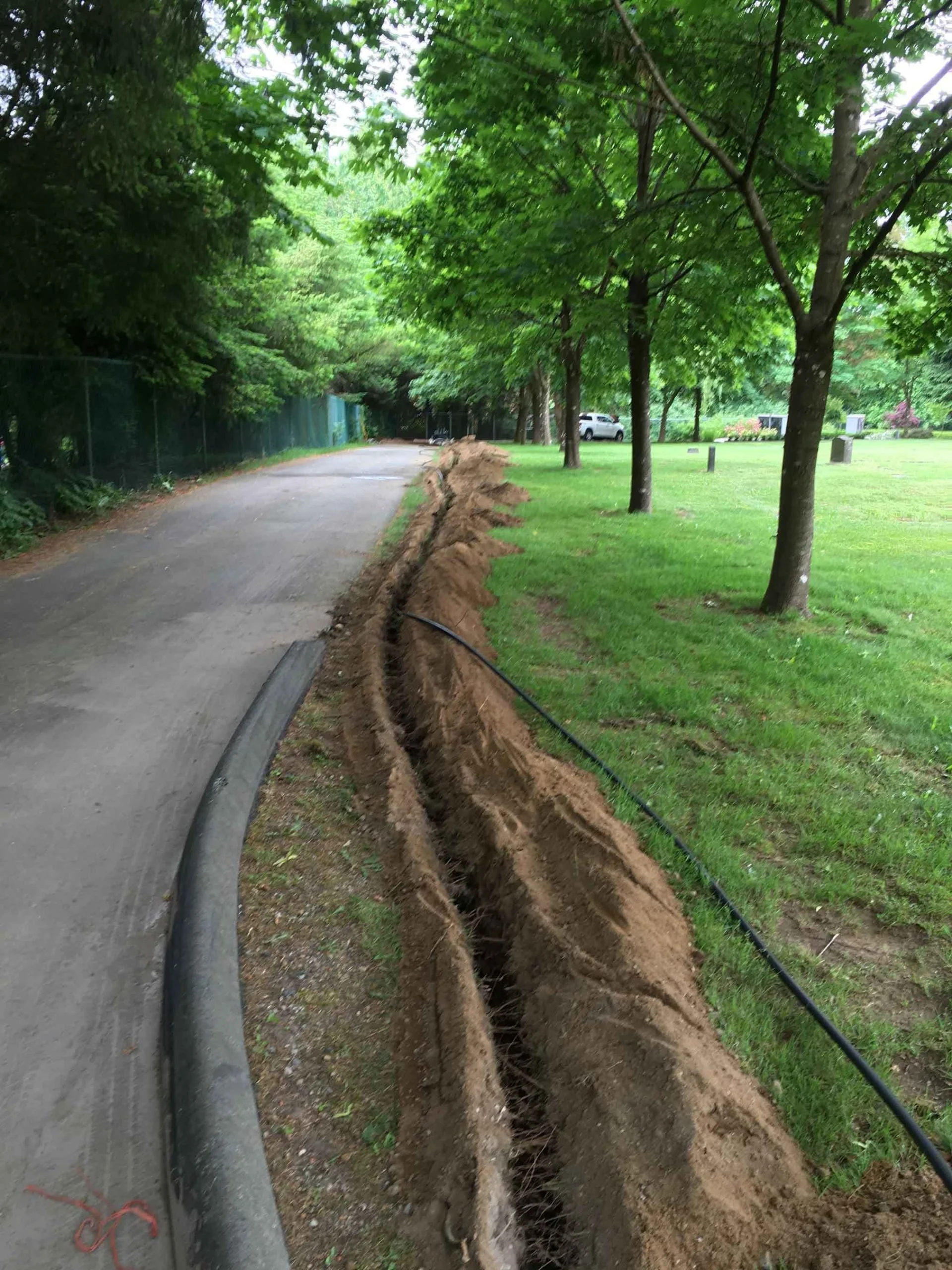 A sidewalk bordered by a row of trees and a grassy area, with a trench dug along the edge and a black cable running through it, indicating construction or repair work.