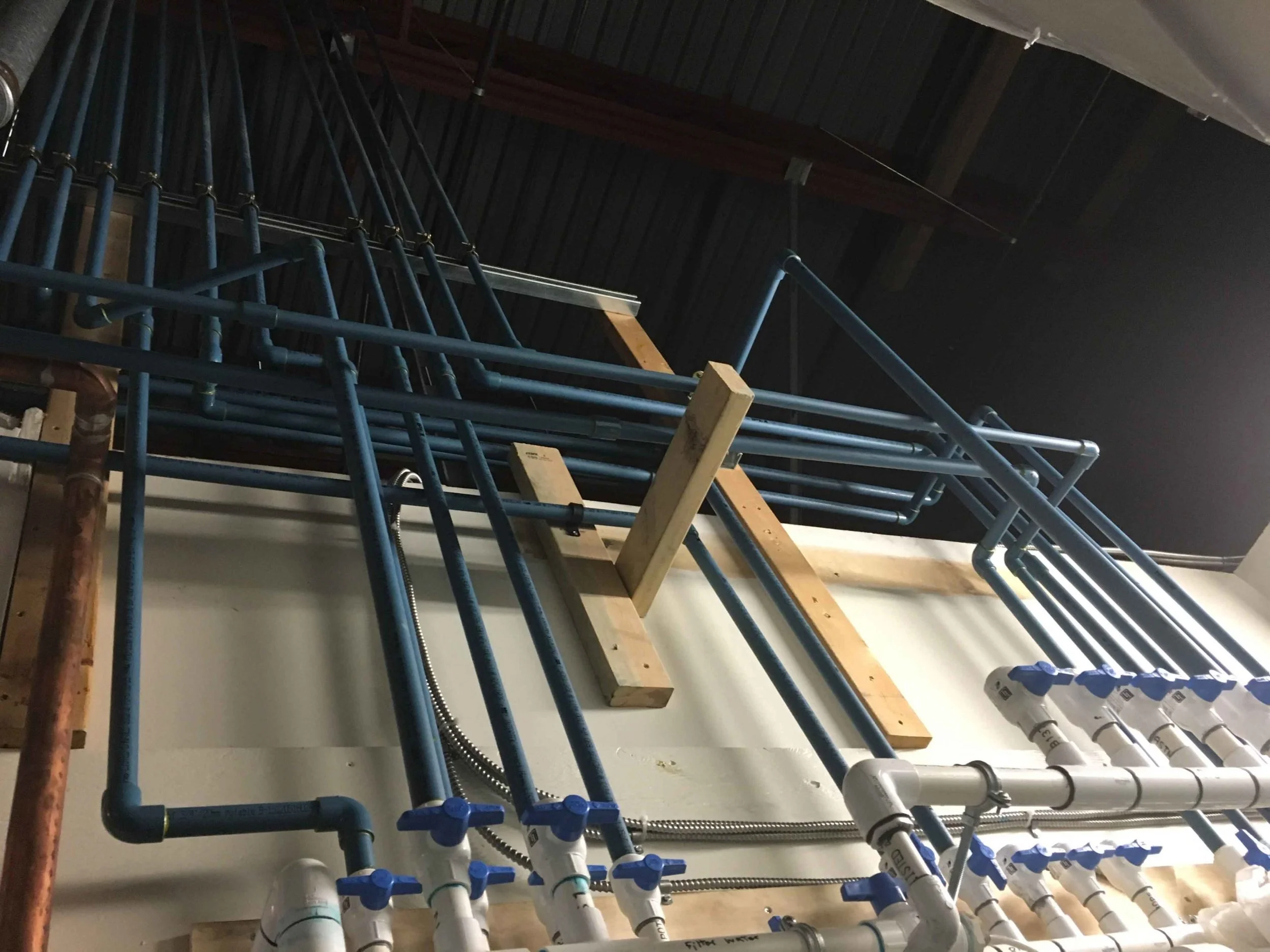 Pipes and fittings in an unfinished basement ceiling, including black and white PVC pipes, with some blue valves and brackets.