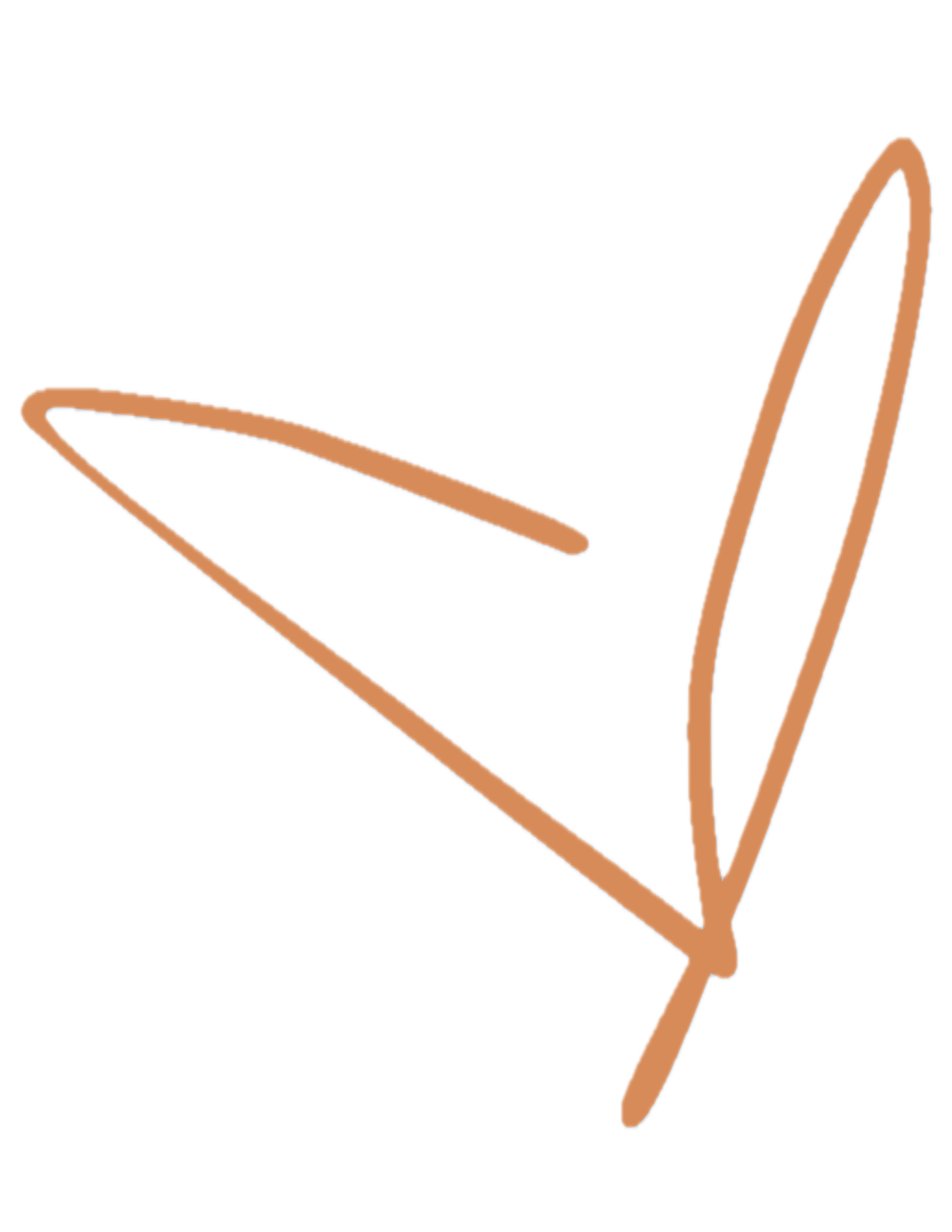 Outline sketch of a rose in a copper color, with a simple linear style.