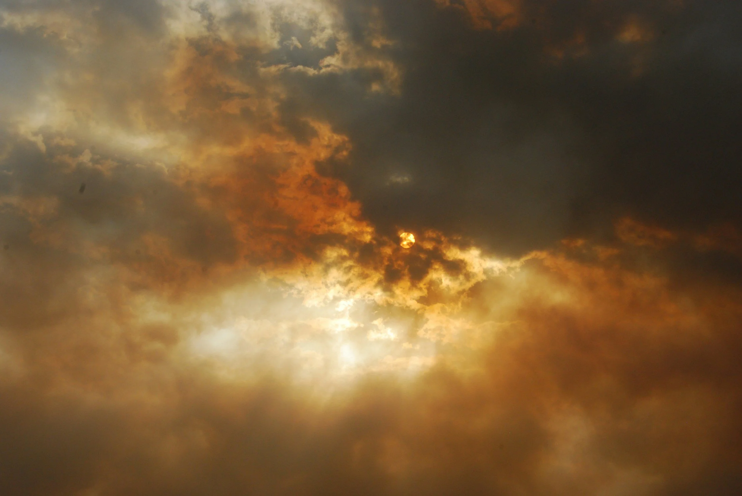 Why Do Old Wounds Still Affect Me? Understanding the Exiled Parts We Carry