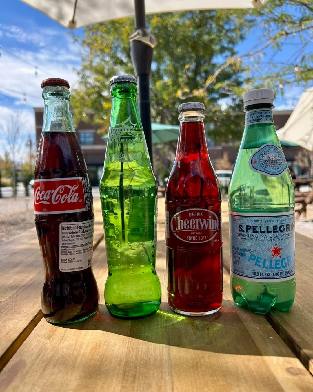 A few favorites to pair with your BBQ 🥤