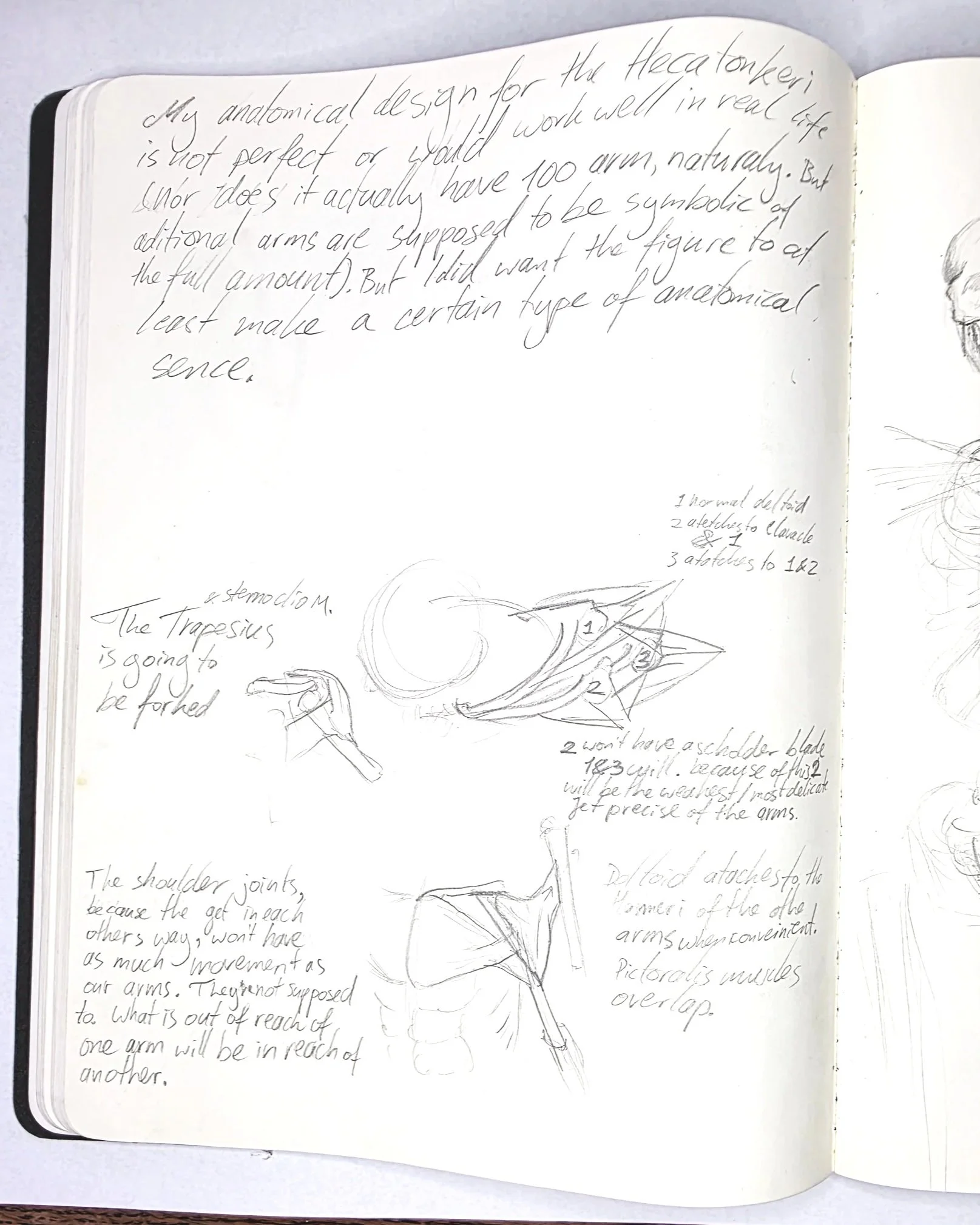 HECATONKERI - ANATOMICAL DESIGN 
My anatomical design for the Hecatoncheiren is not perfect or would work well in real life (nor does it actually have 100 arms, naturally. But additional arms are supposed to be symbolic of the full amount). But I did