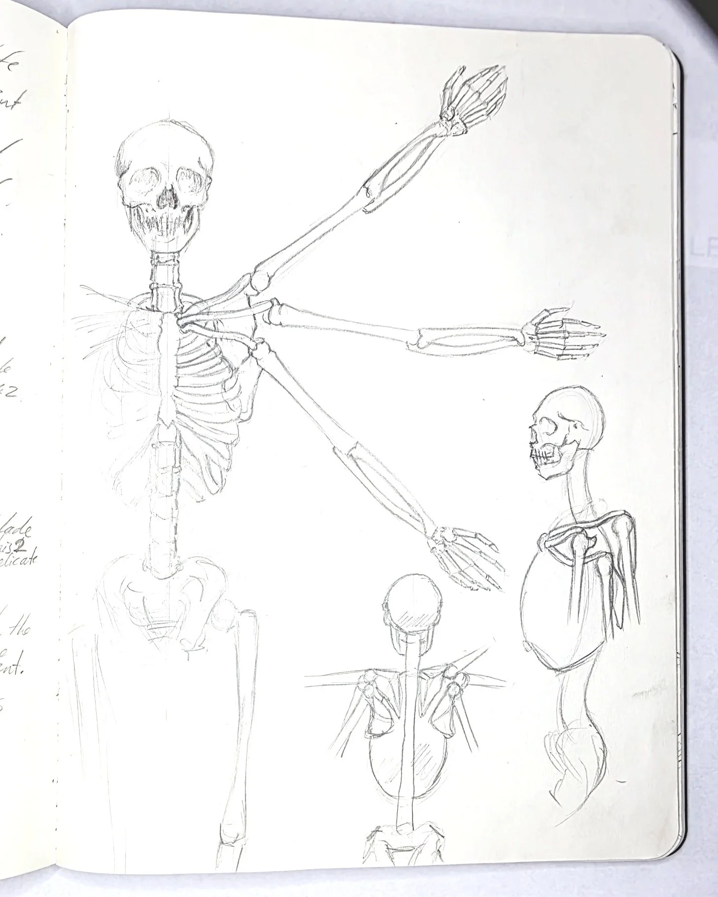 HECATONKERI - ANATOMICAL DESIGN