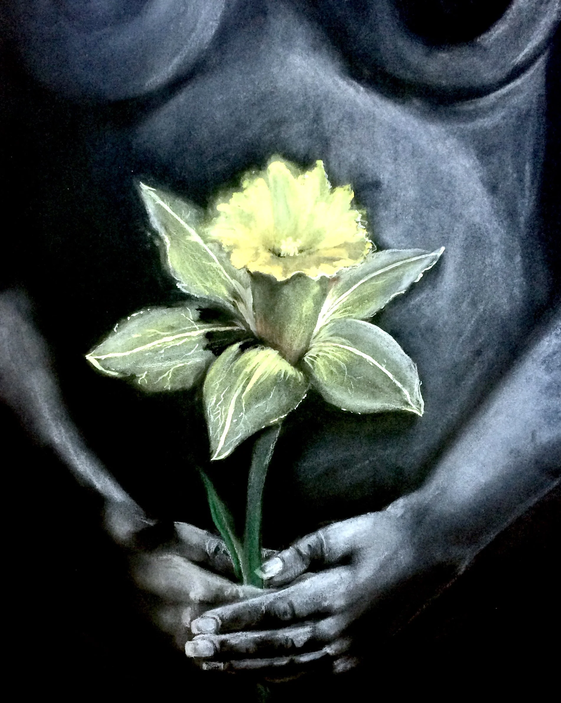 Narcissus - ca.2011-.jpg