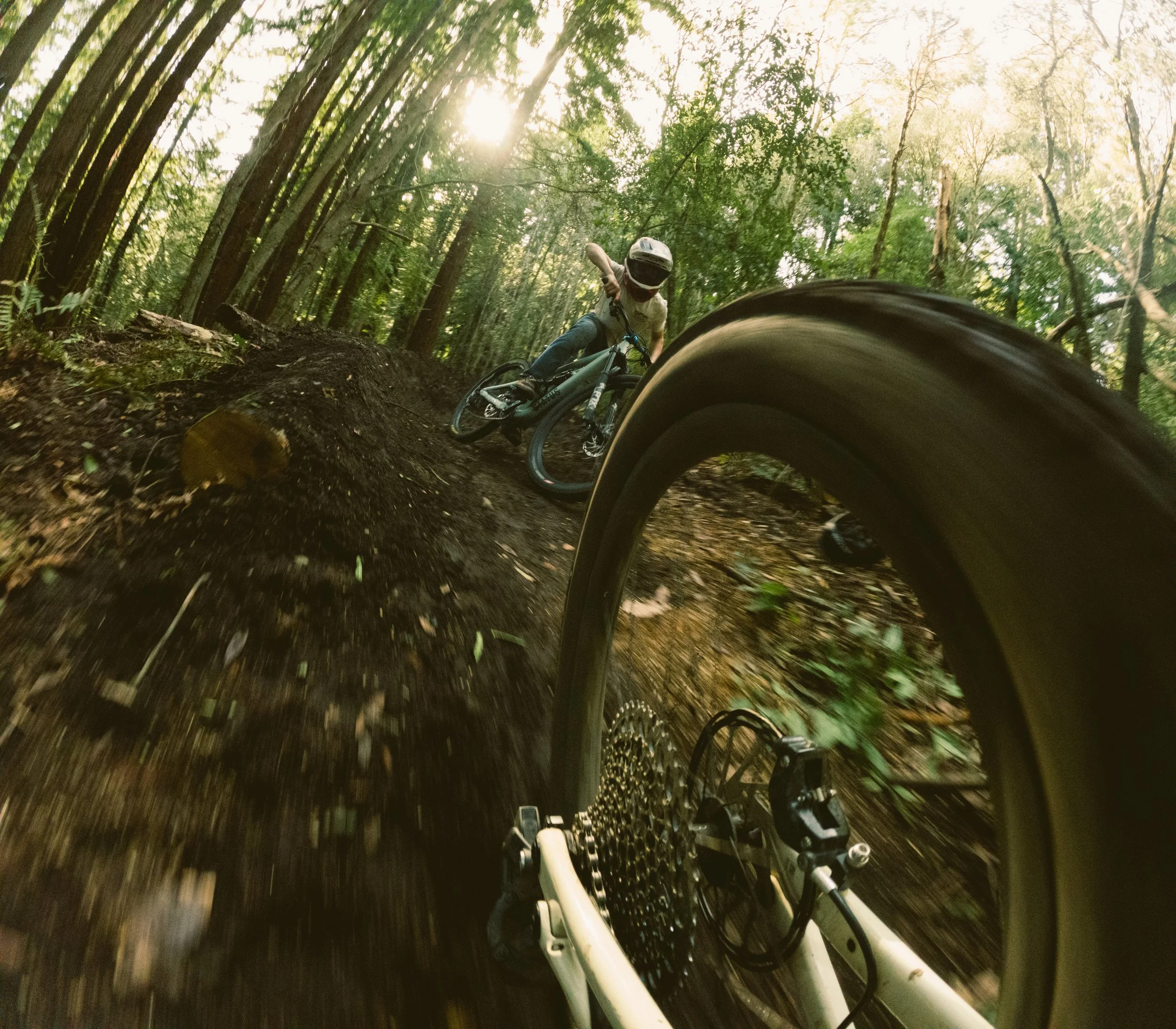 A cyclist wearing a helmet rides a mountain bike on a narrow trail through a dense forest with tall trees and sunlight filtering through the leaves.