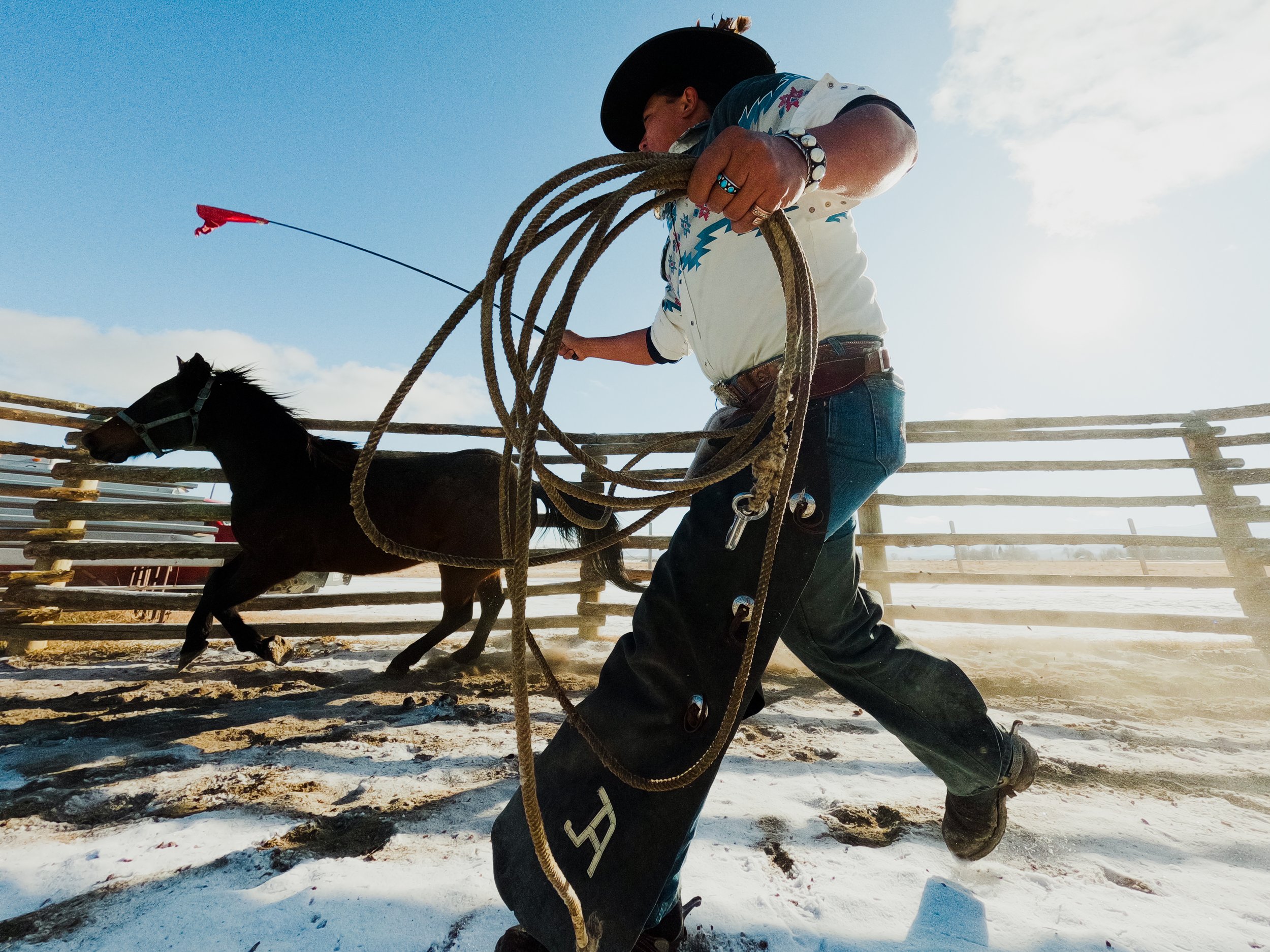 SI10529_260413_GPC_M1PRO_Cowboys_GPBZ3556.jpg