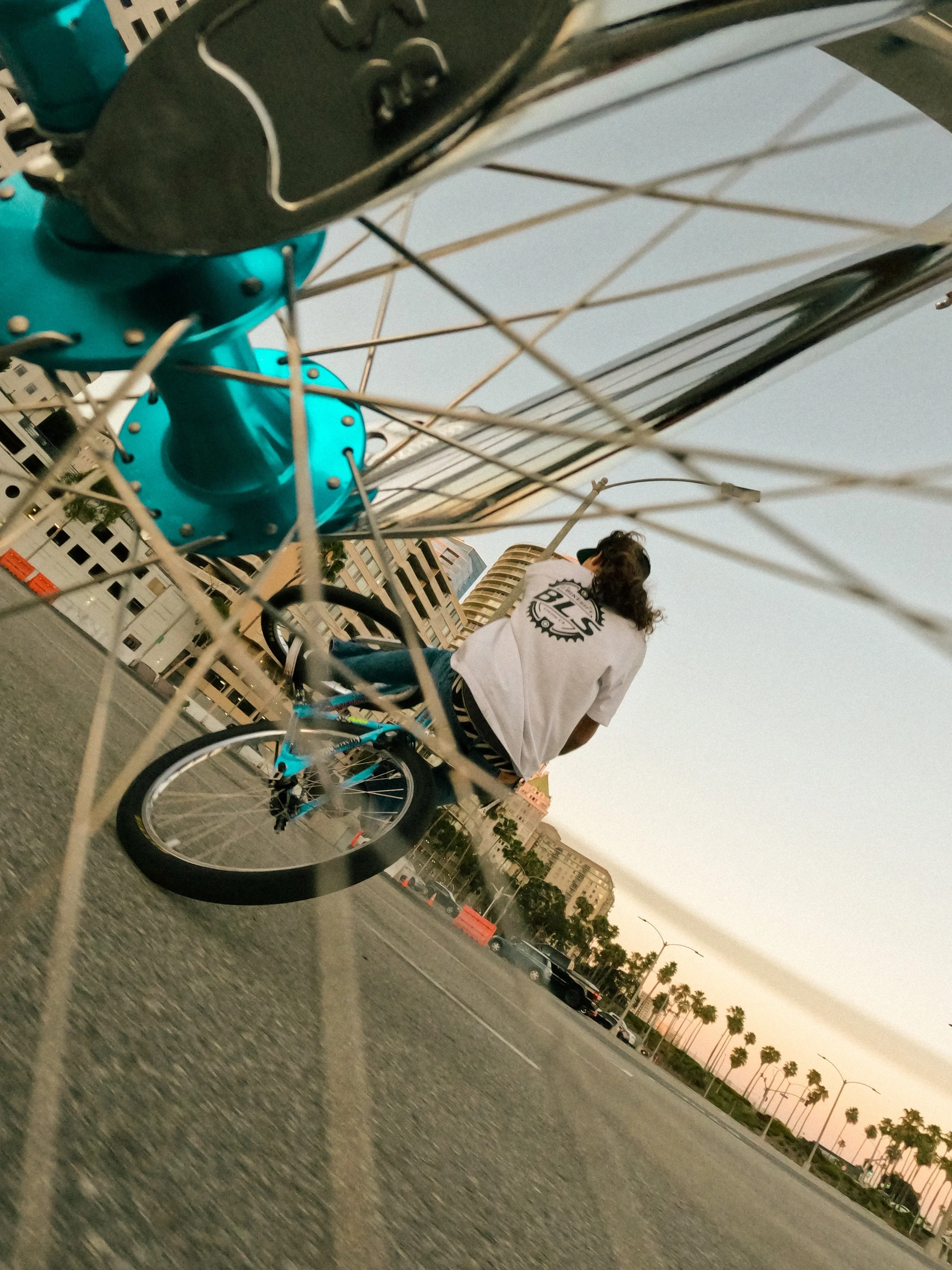 A person riding a blue bicycle with a black seat on an urban street at sunset, viewed from a low angle through a bike wheel. The person has curly hair, wears a white t-shirt with a logo on the back, and is surrounded by buildings, palm trees, and par