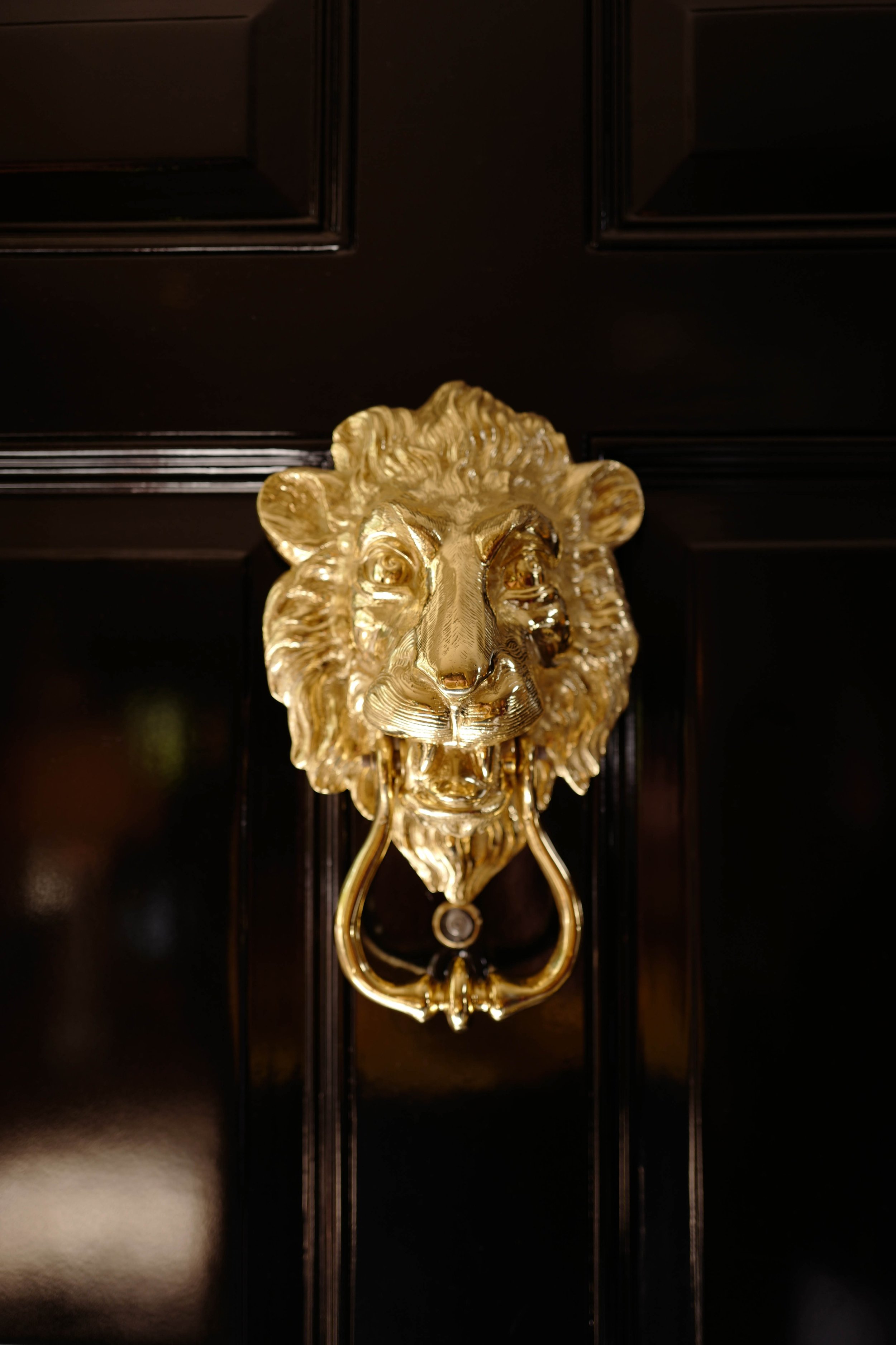Polished gold lion head door knocker on a dark lacquered front door — custom home detail.