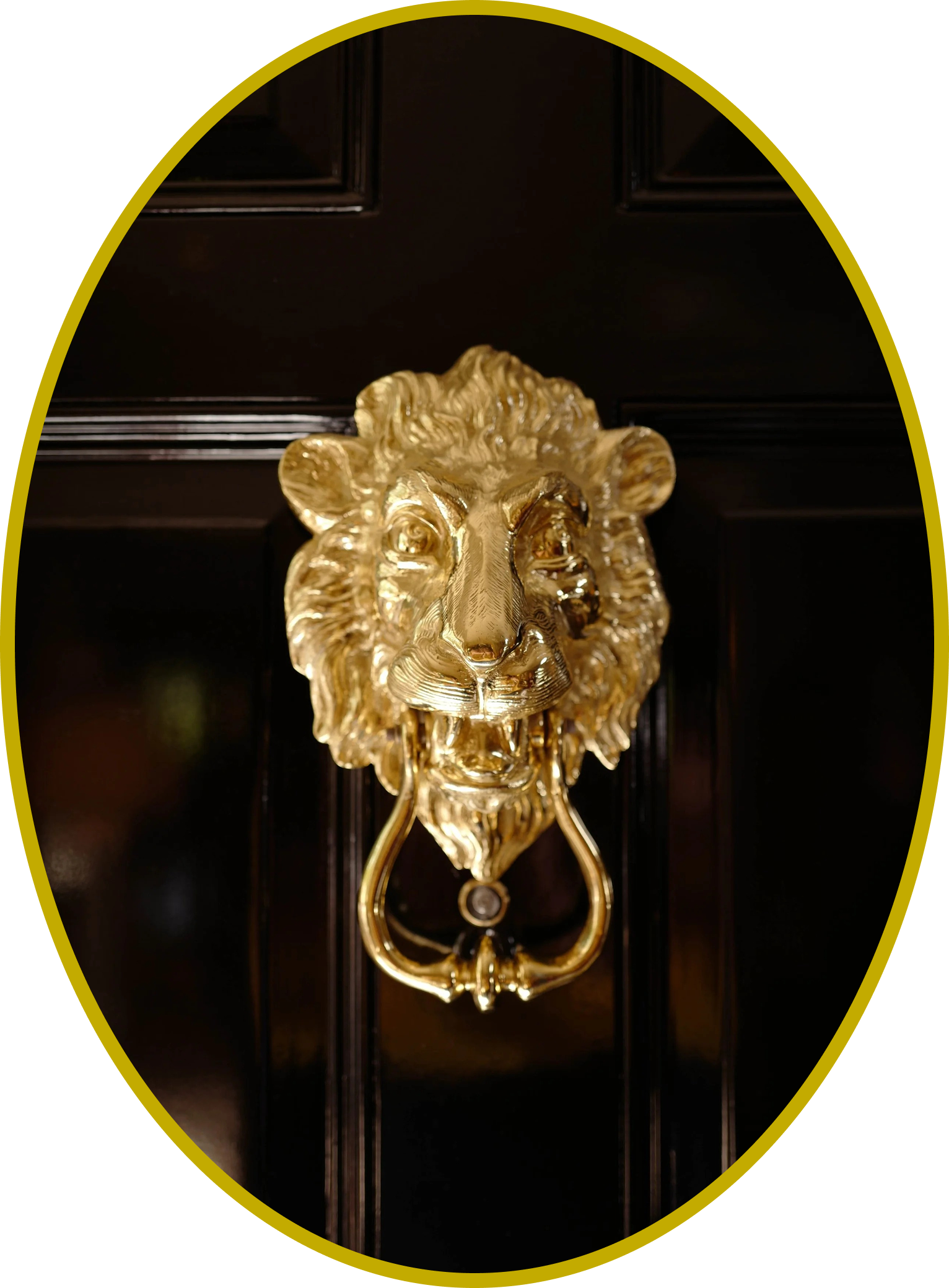 Polished gold lion head door knocker on a dark lacquered front door — custom home detail.