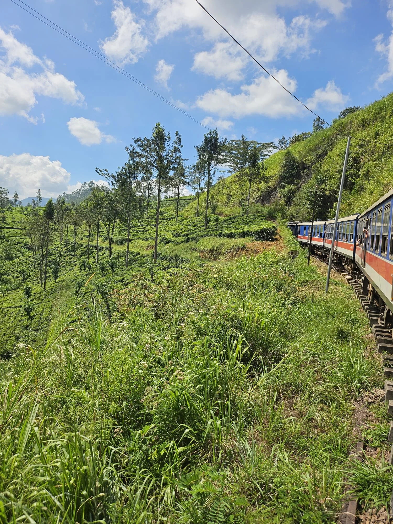 Sri Lanka Train View.jpeg