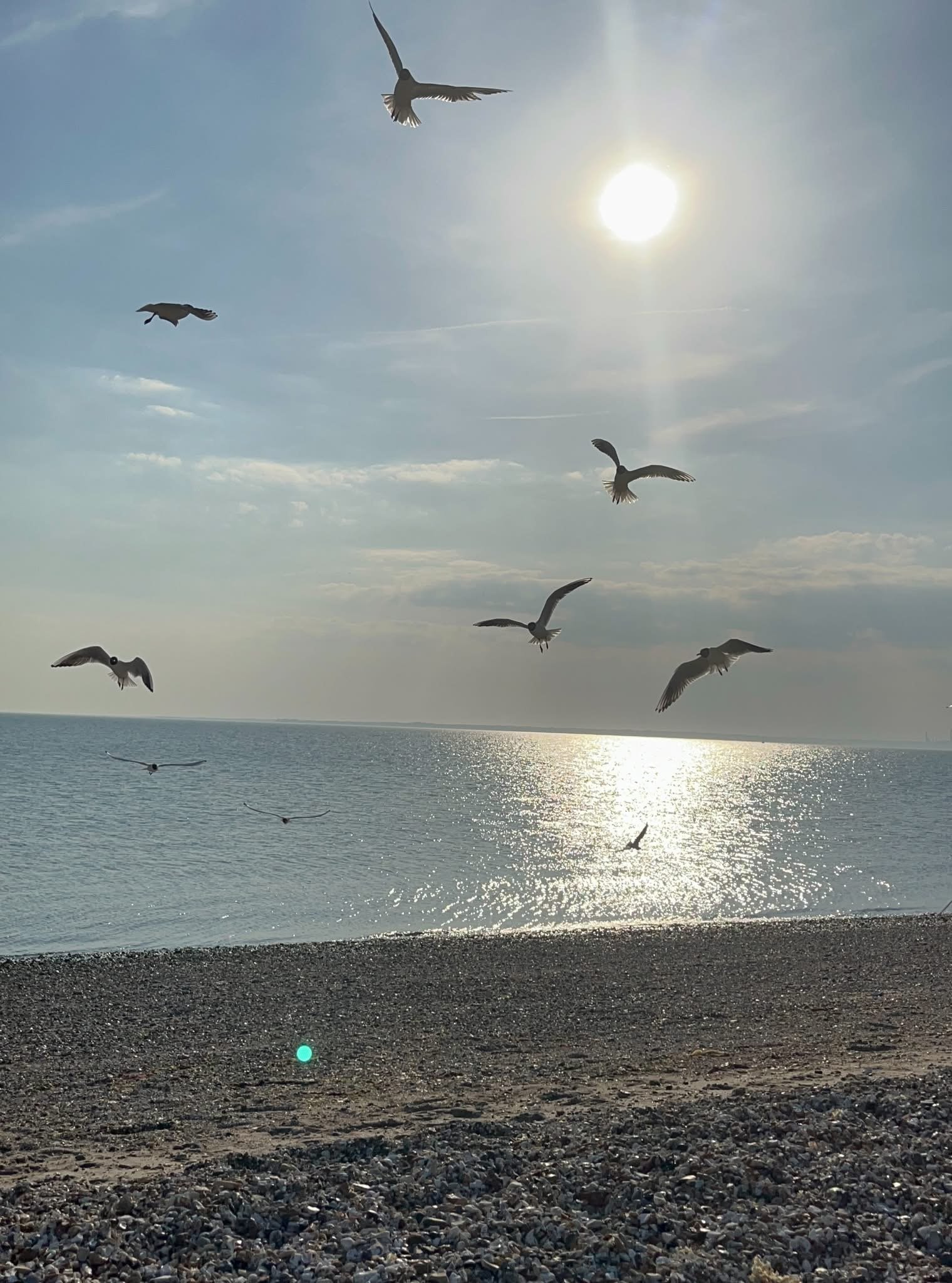 IMG_3018.jpeg