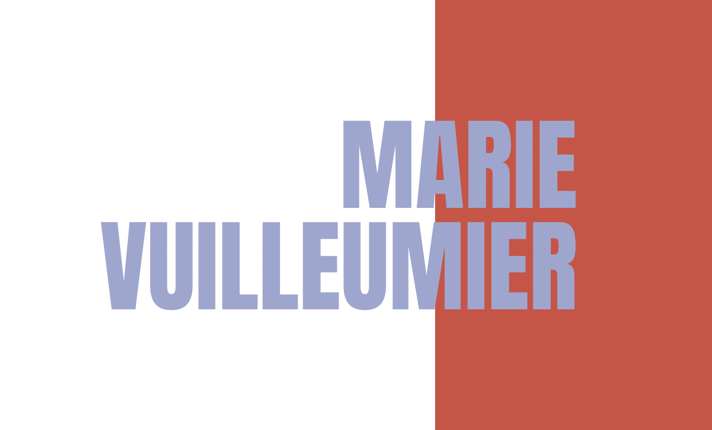Vuilleumier_3.png