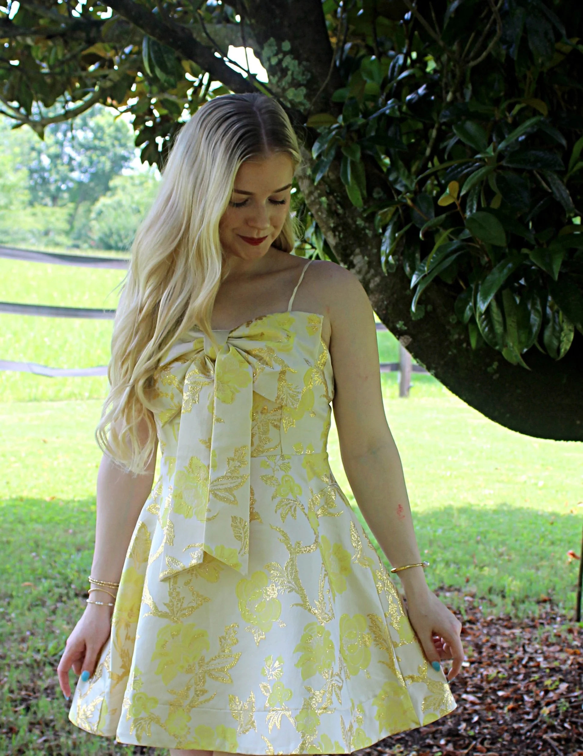 The Daisy Dress
