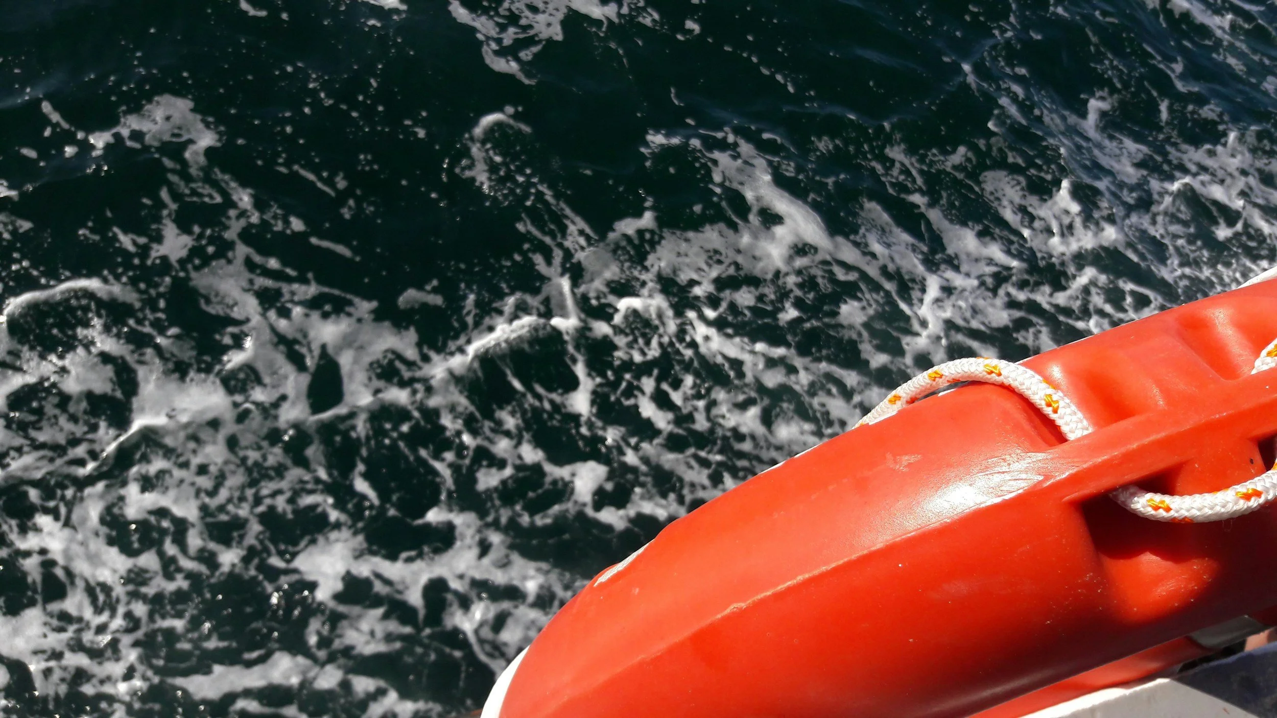Part of a life raft with a white rope on the edge, floating in dark blue water with white foam and bubbles from a boat's wake.