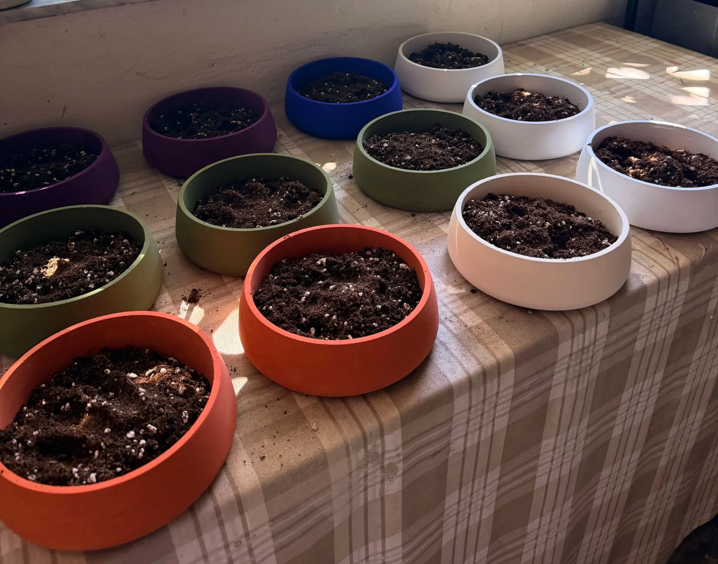 Multiple colorful flower pots filled with soil arranged on a table next to a wall.