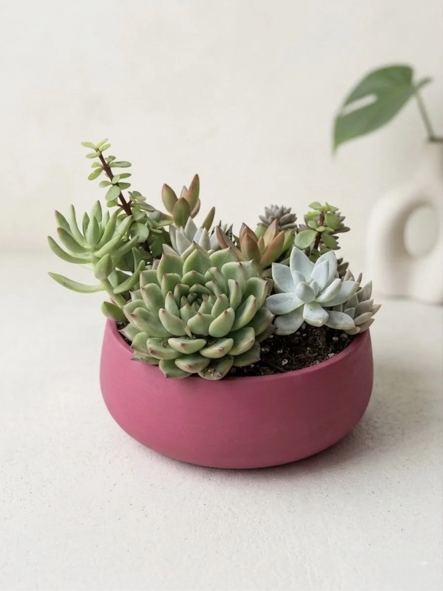 The Signature Bowl Arrangement