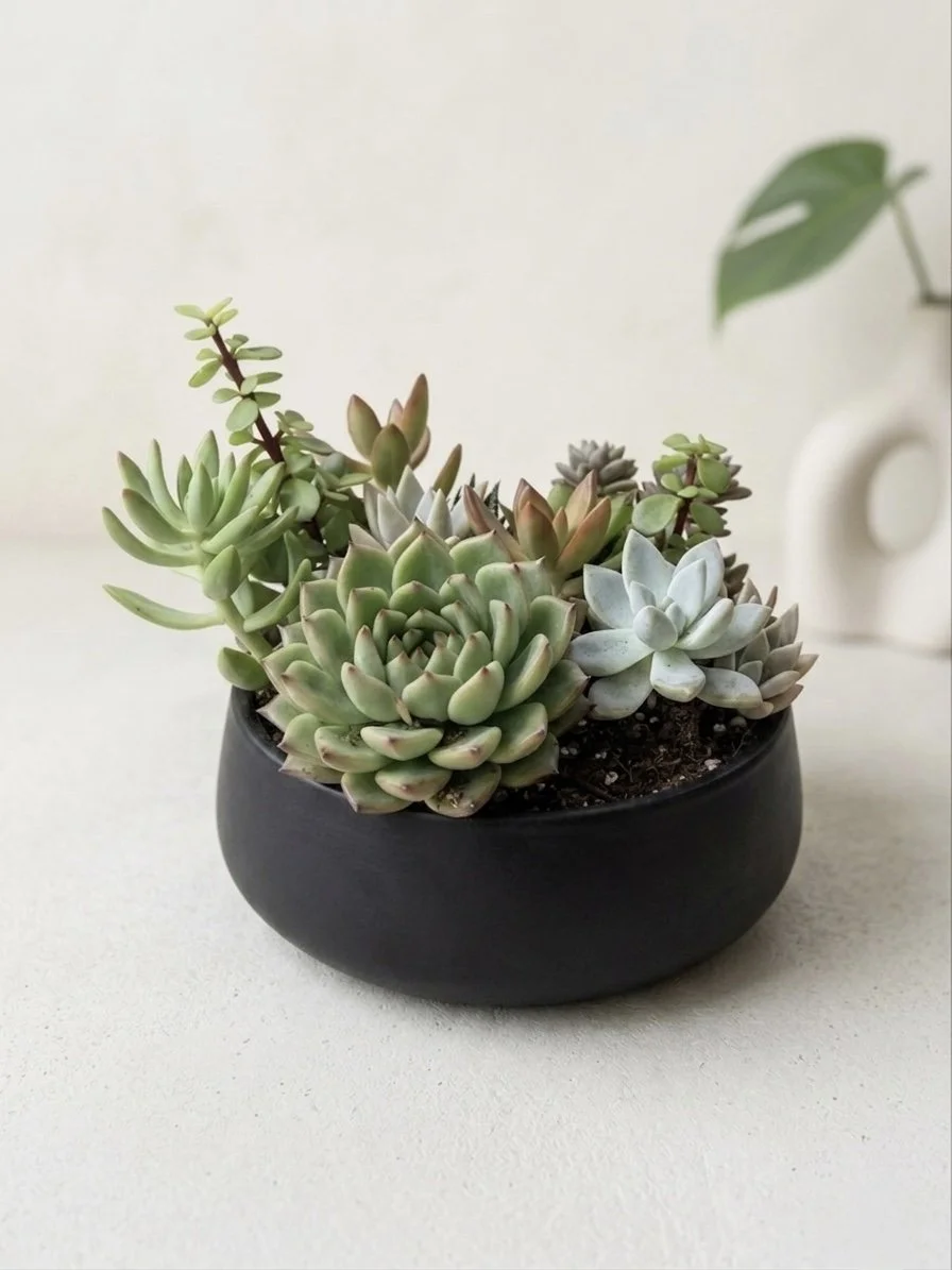 The Signature Bowl Arrangement