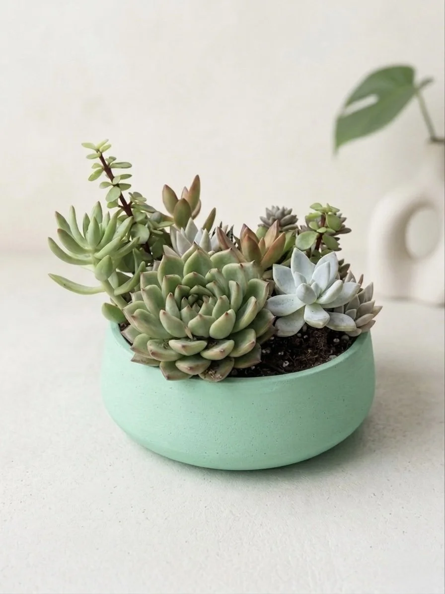The Signature Bowl Arrangement