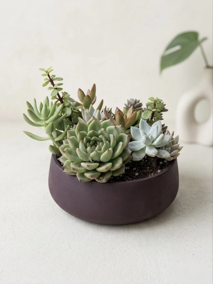 The Signature Bowl Arrangement