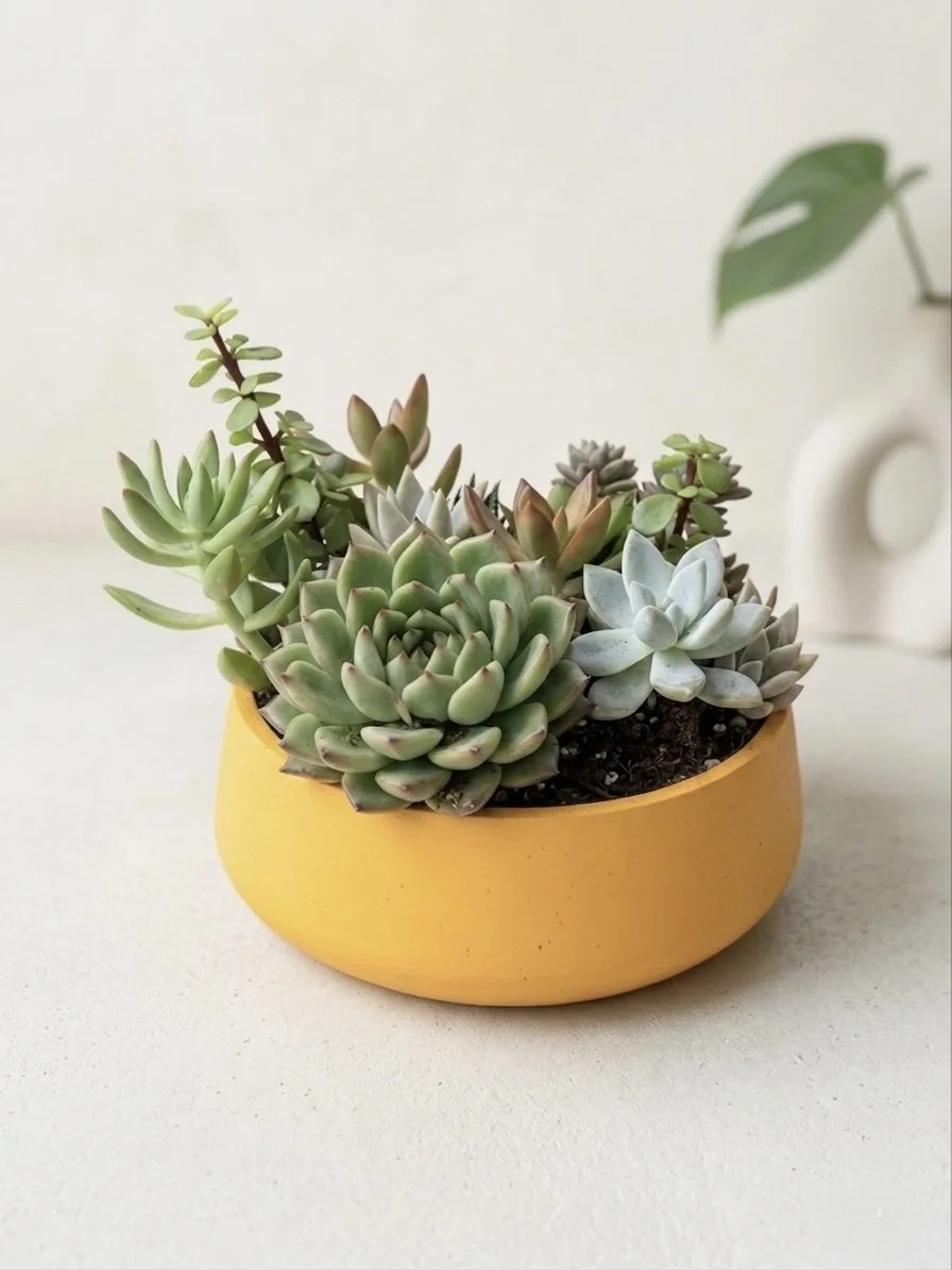 The Signature Bowl Arrangement