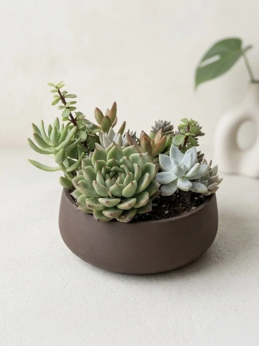 The Signature Bowl Arrangement