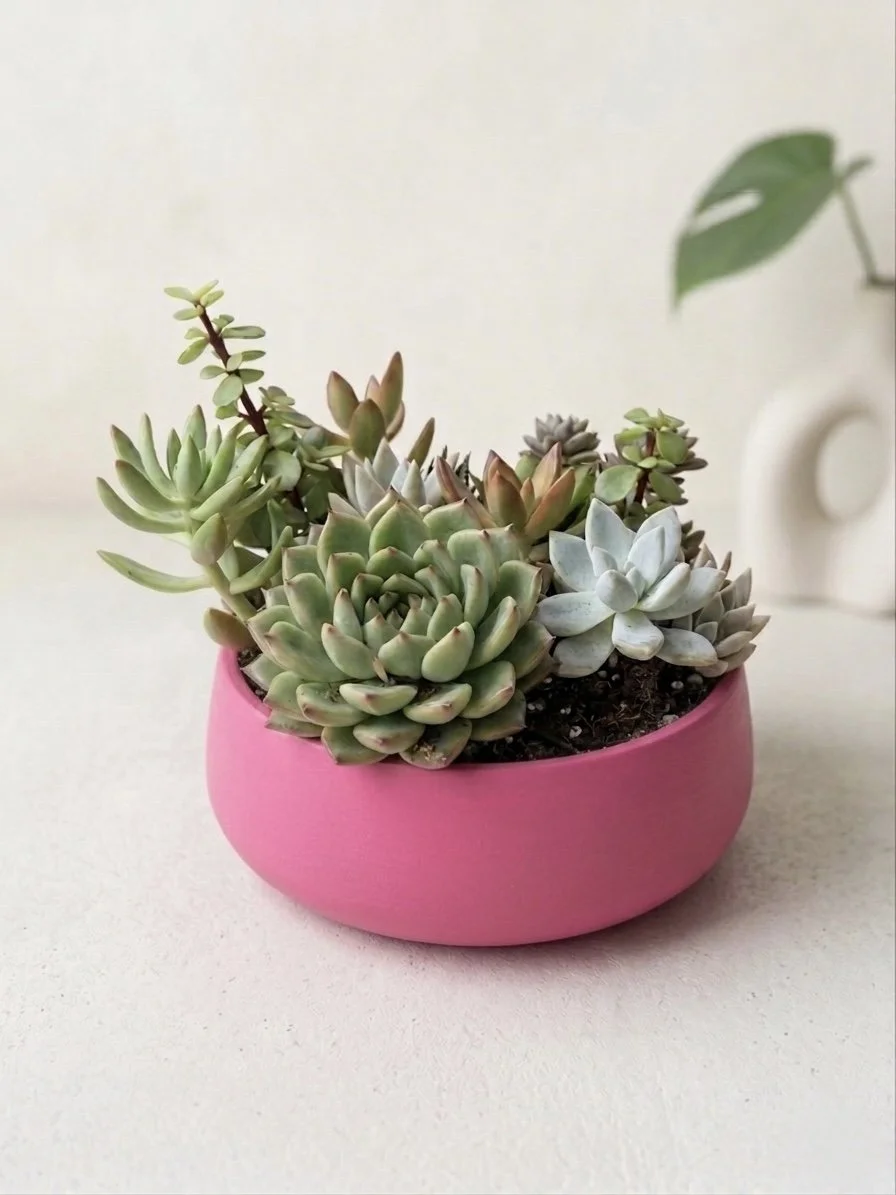 The Signature Bowl Arrangement