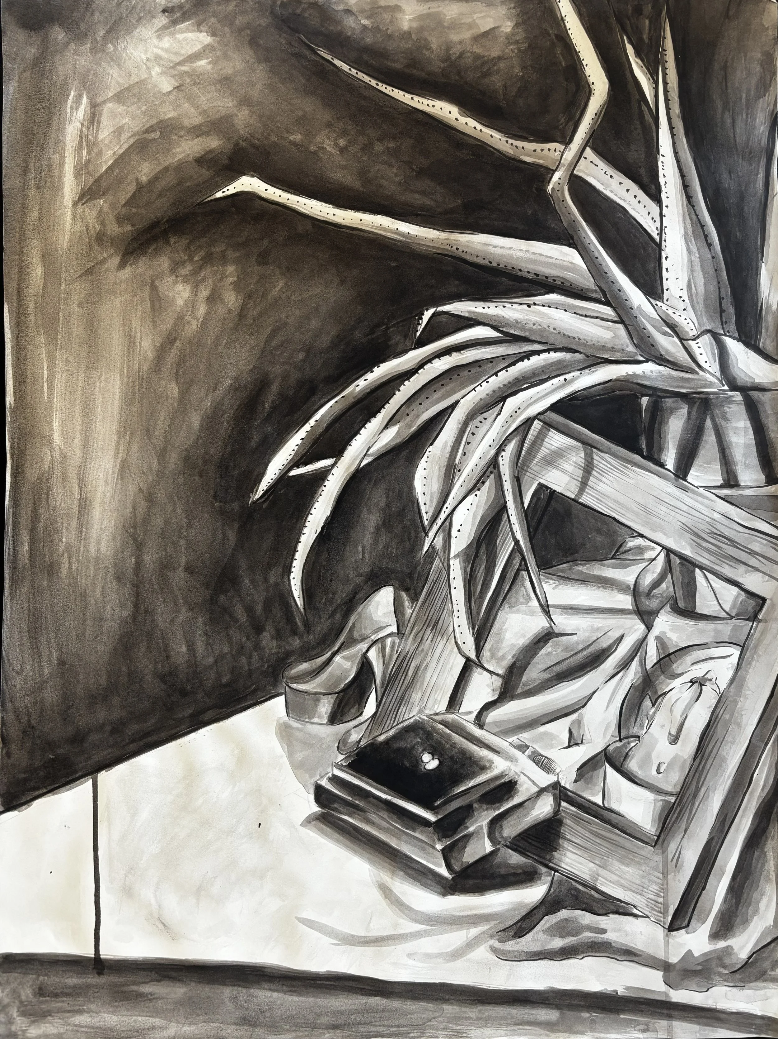 Pen and ink drawing of an aloe plant sitting on a table surrounded by a picture frame, a vintage camera, and books.