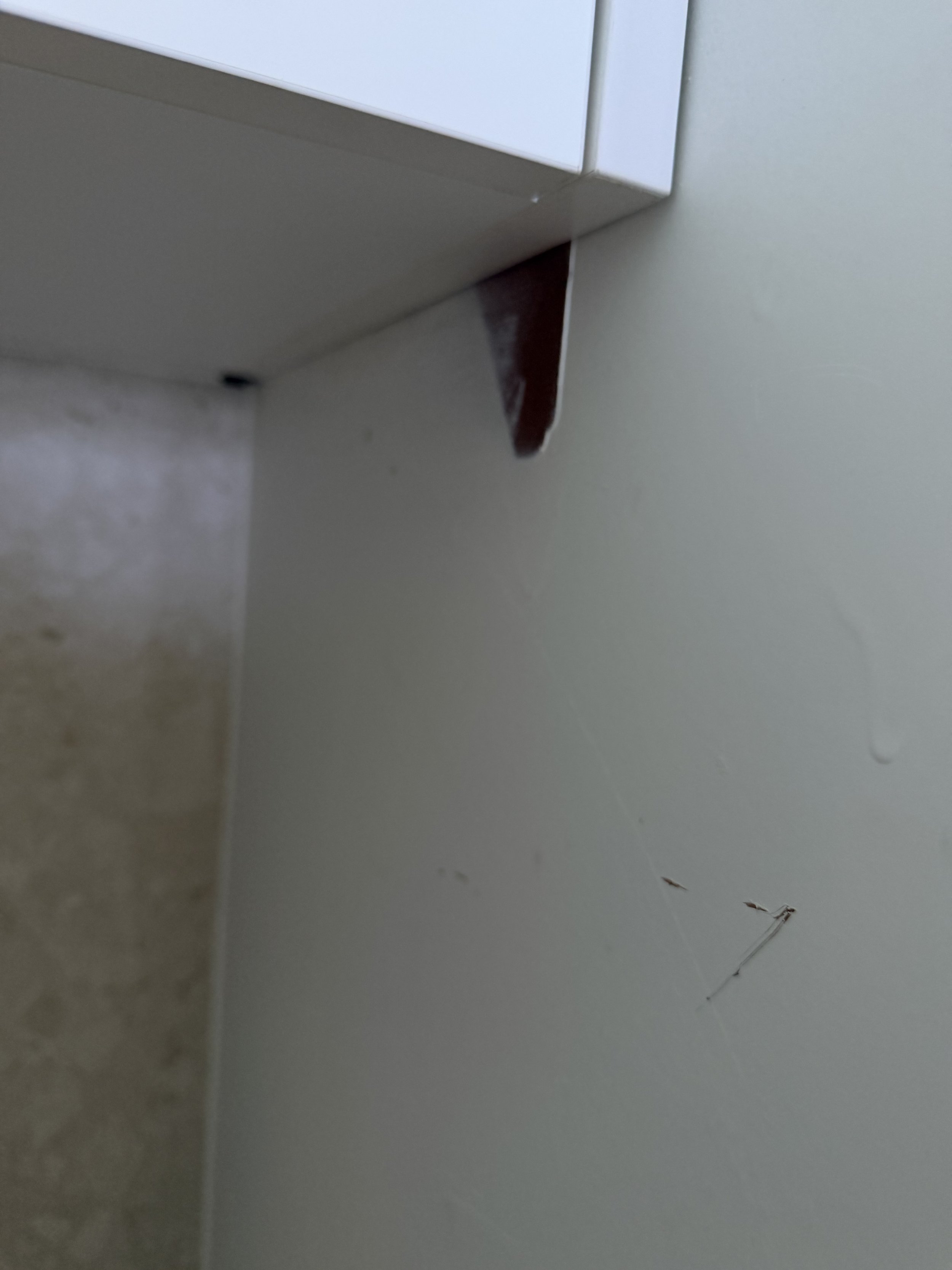 IMG_6015.jpeg