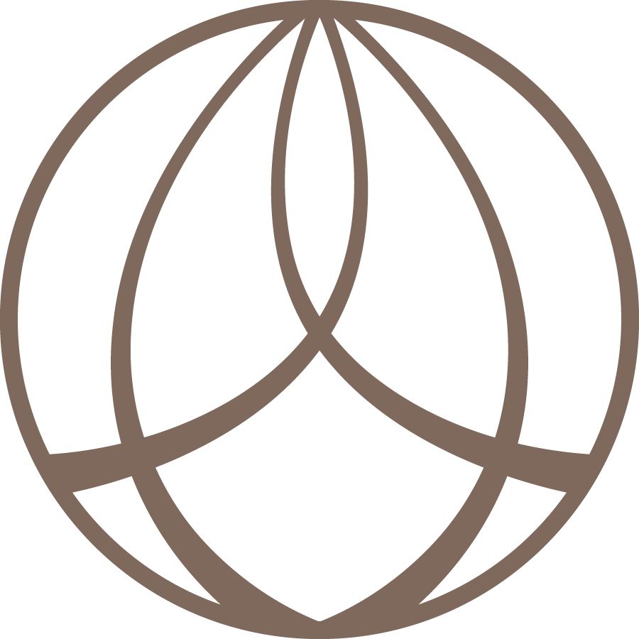 A brown globe outline with latitude and longitude lines on a black background.