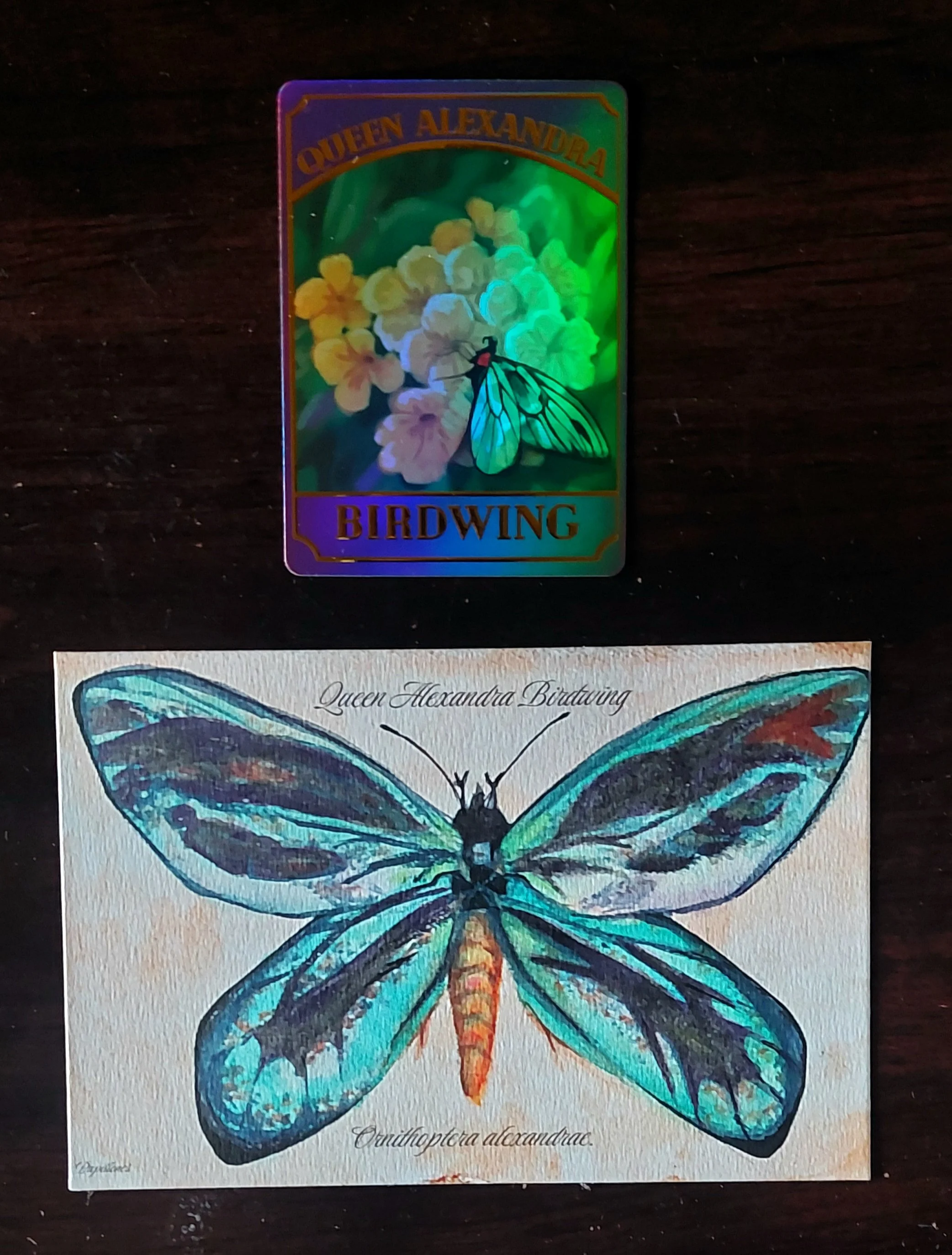 1000022028.jpg