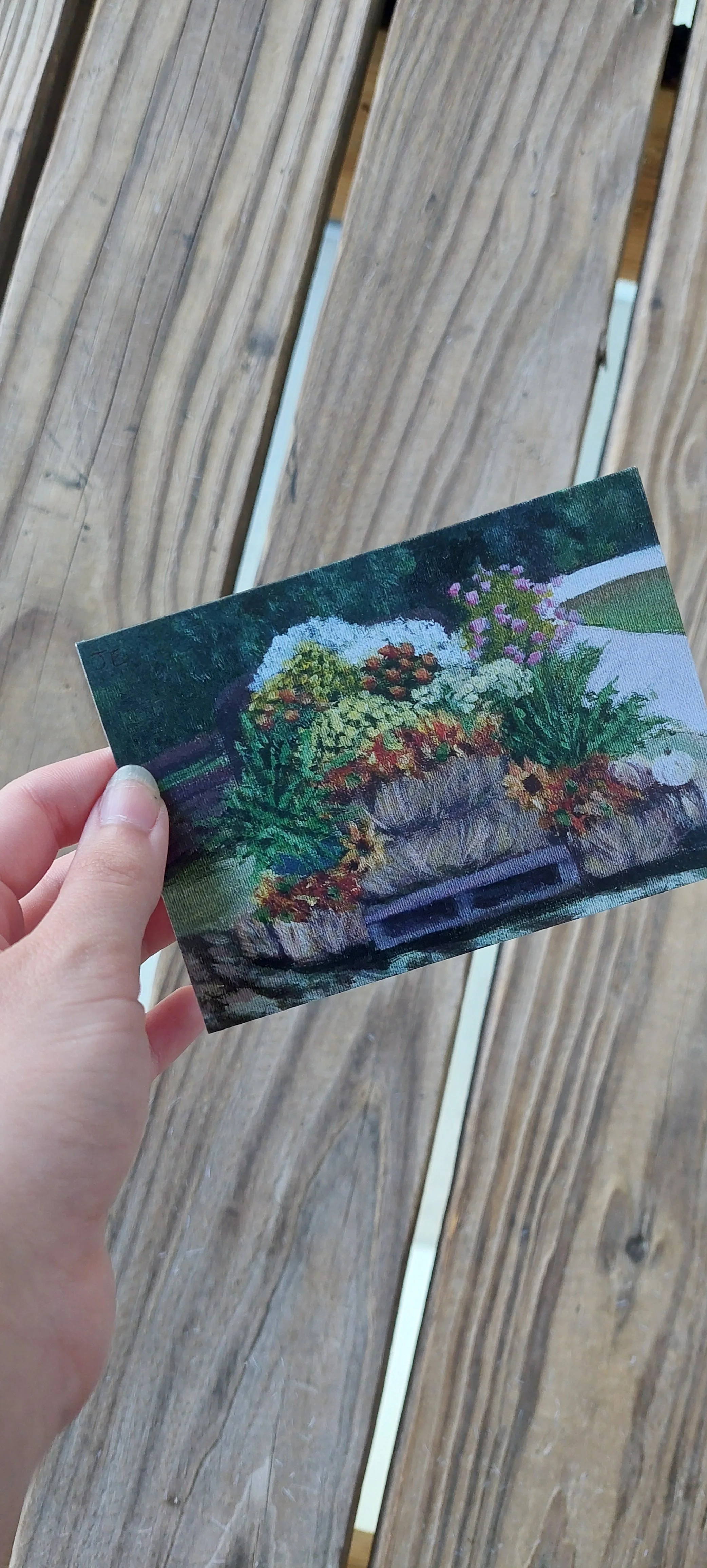 Greeting Card - 5x7  Fall Foliage
