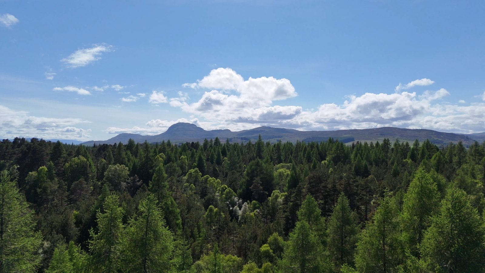 A scenic view of a lush green forest with mountains in the background under a partly cloudy sky.