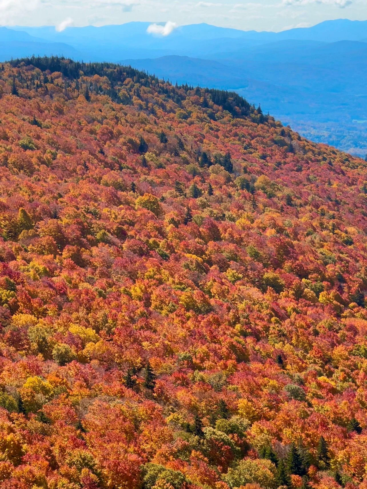 Vermont