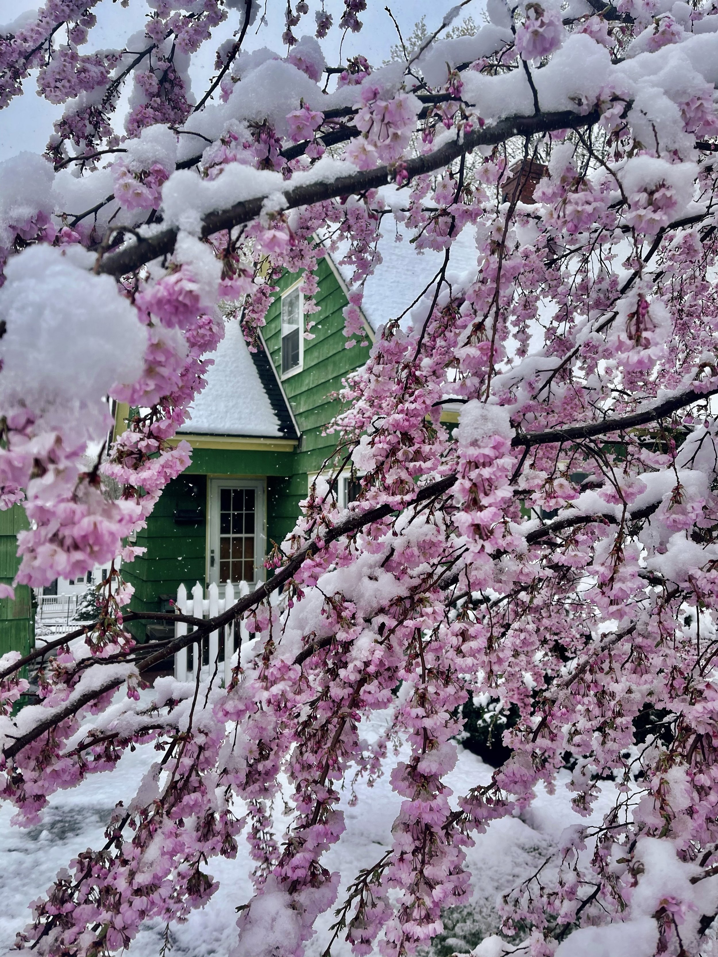 Vermont