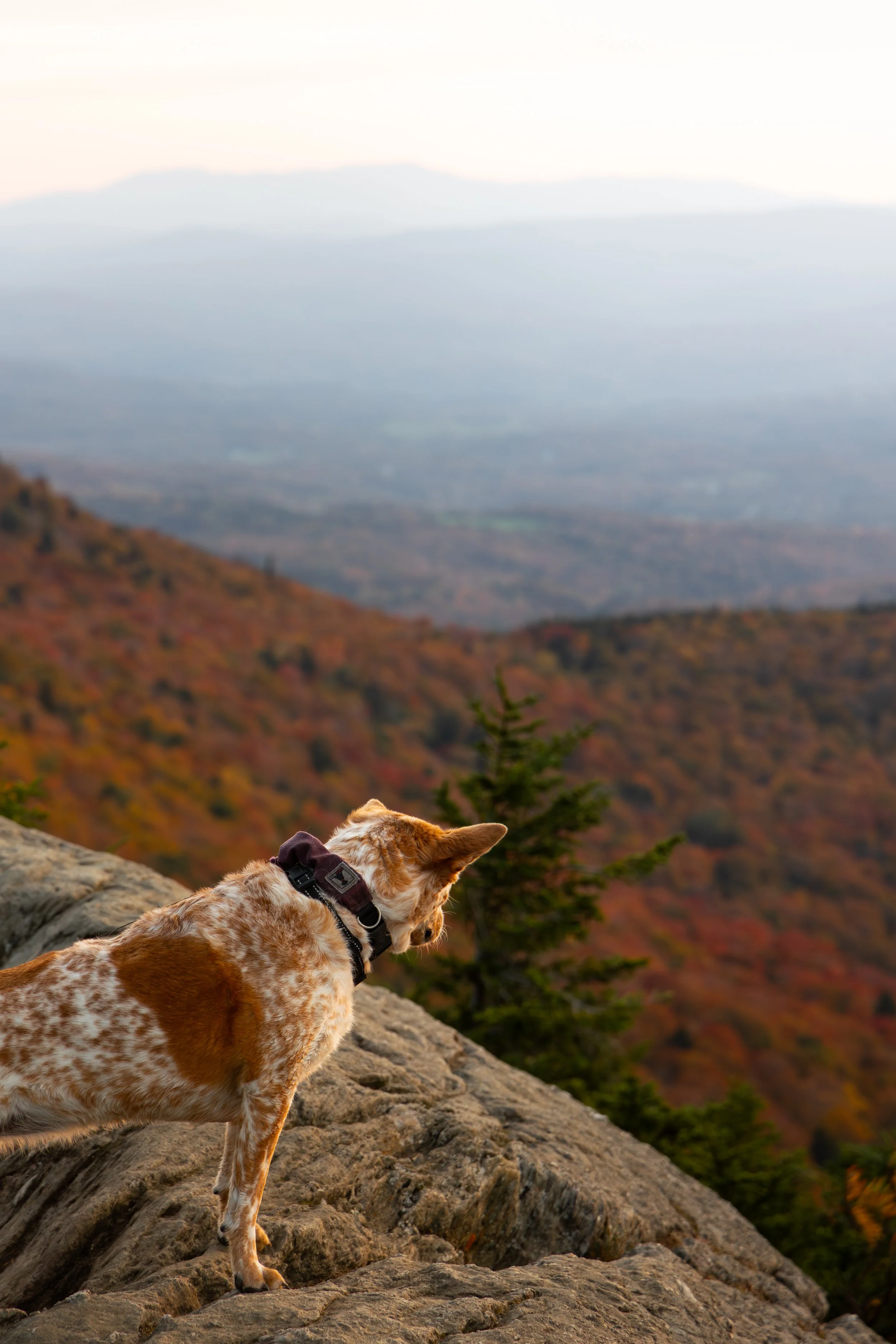 Stowe, VT