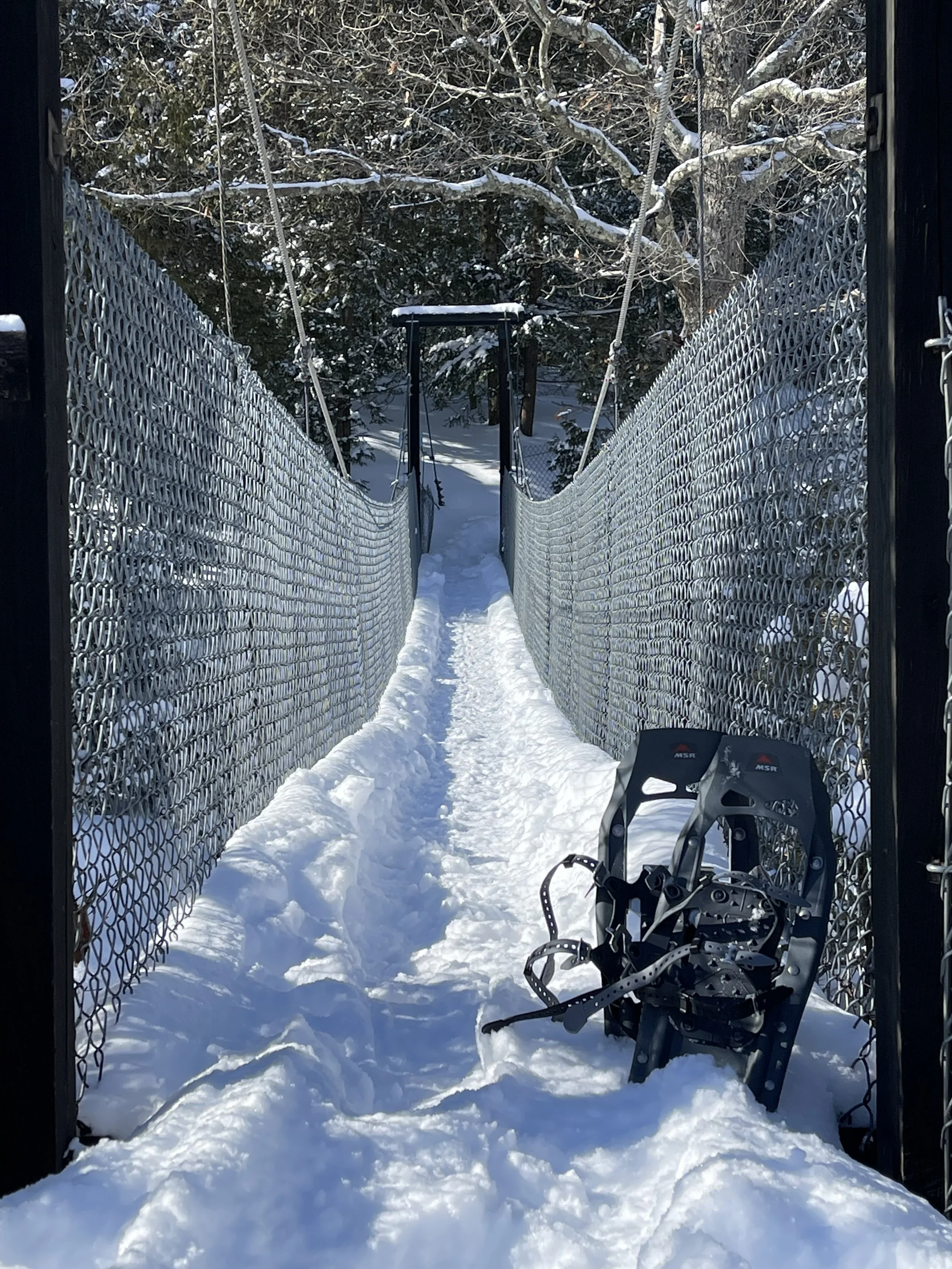 MSR - Evo Trail Snowshoes
