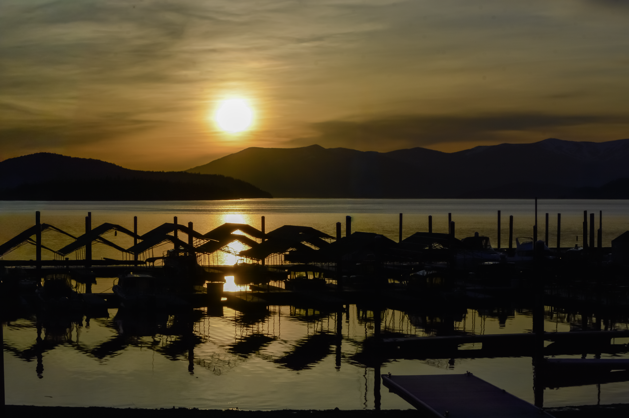 Behind the lens: The Camera I Almost Never Picked Up