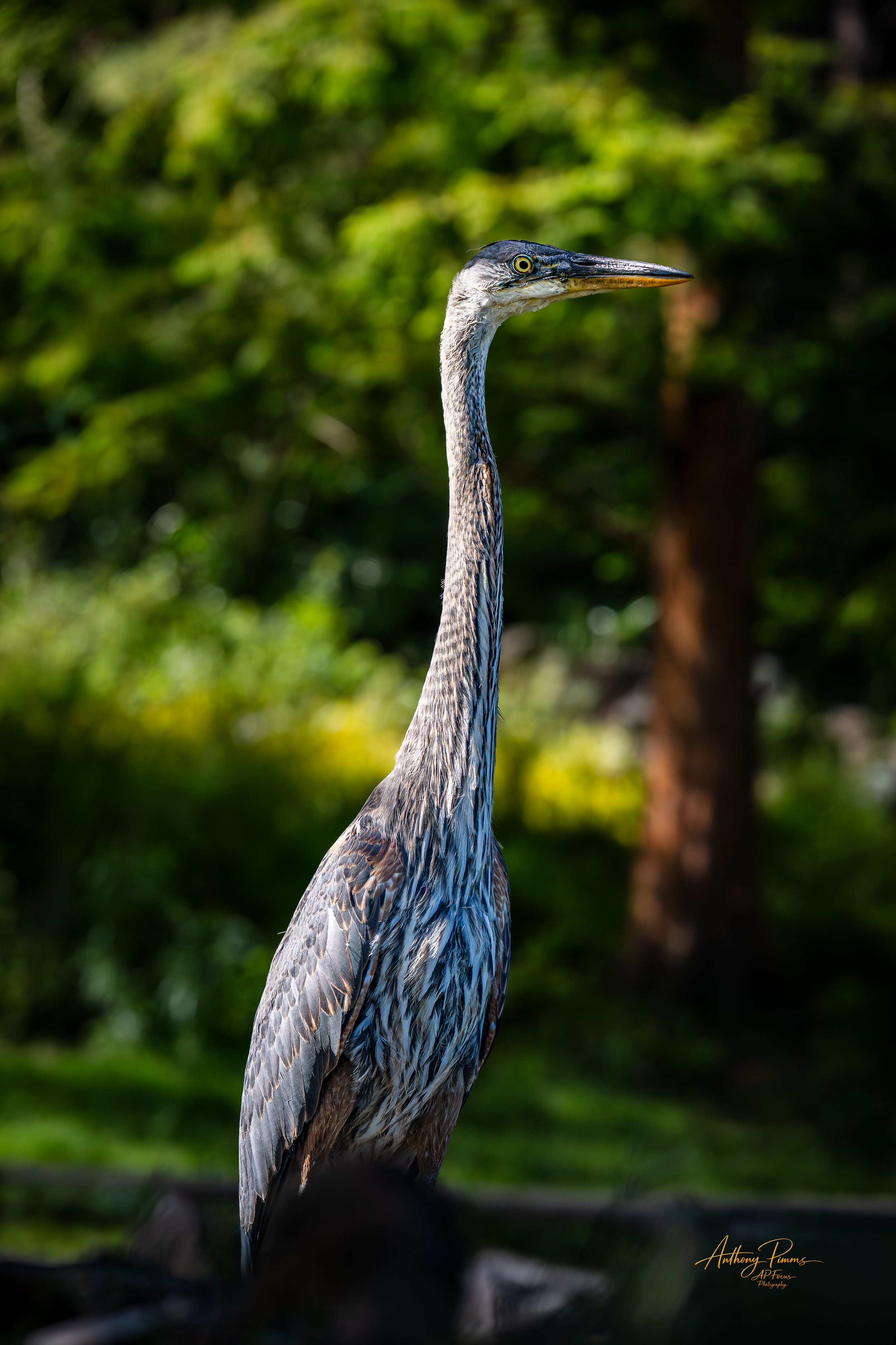 Standing Tall